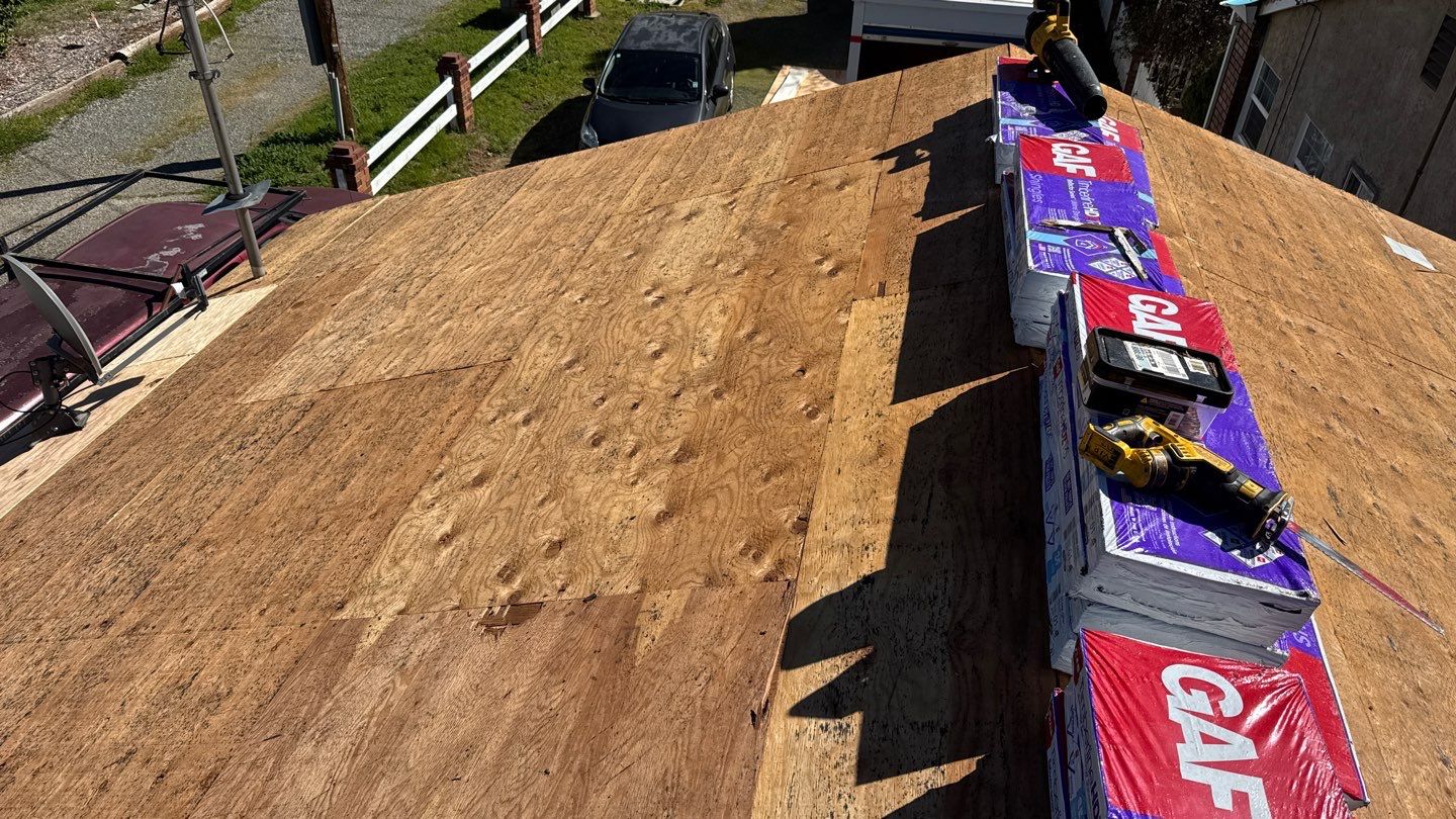 Willa Holmstock by NuLead Construction Inc