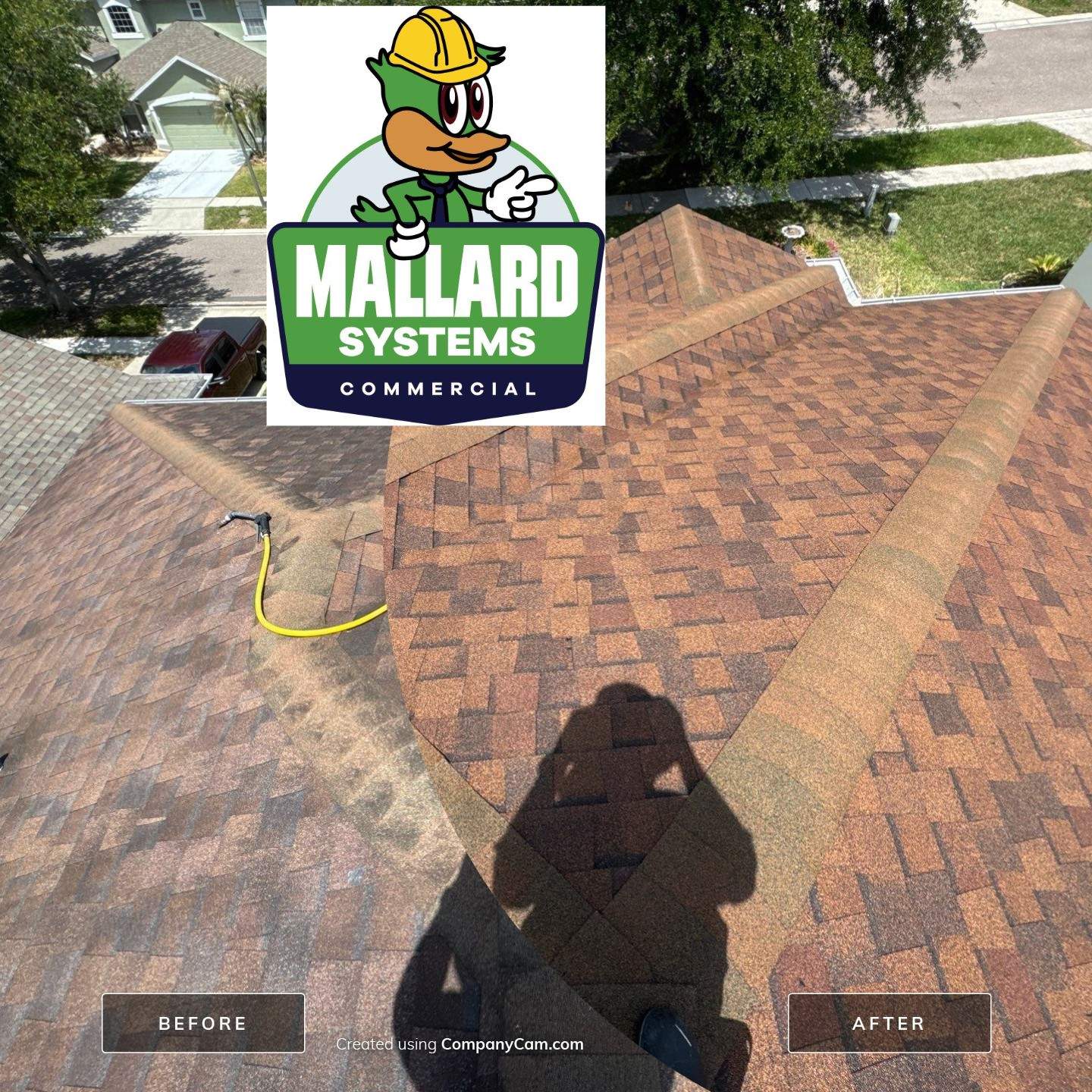 Shingle Roof Cleaning by Mallard Systems