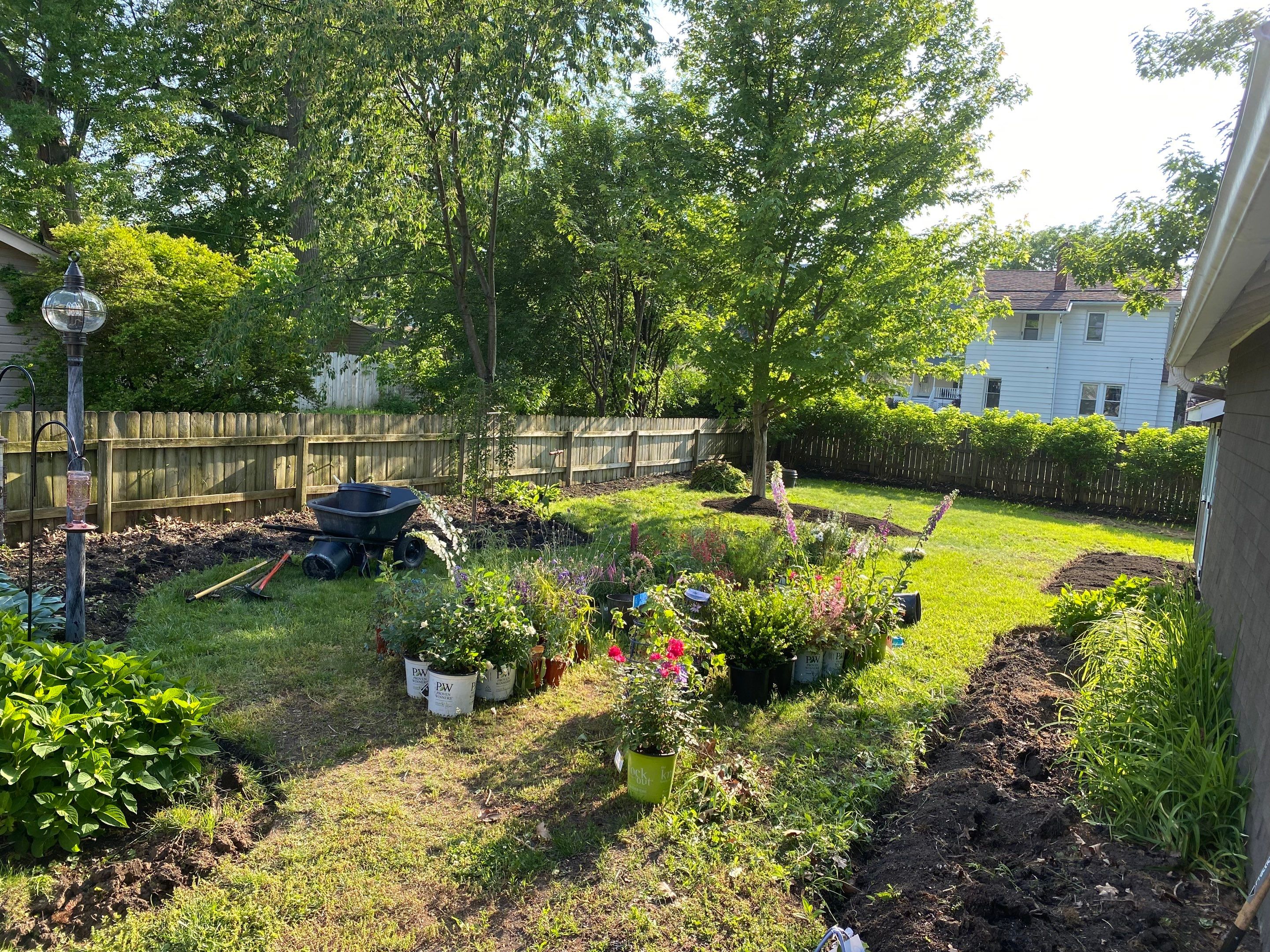 Pollinator Paradise Project by Elm Rose Gardens