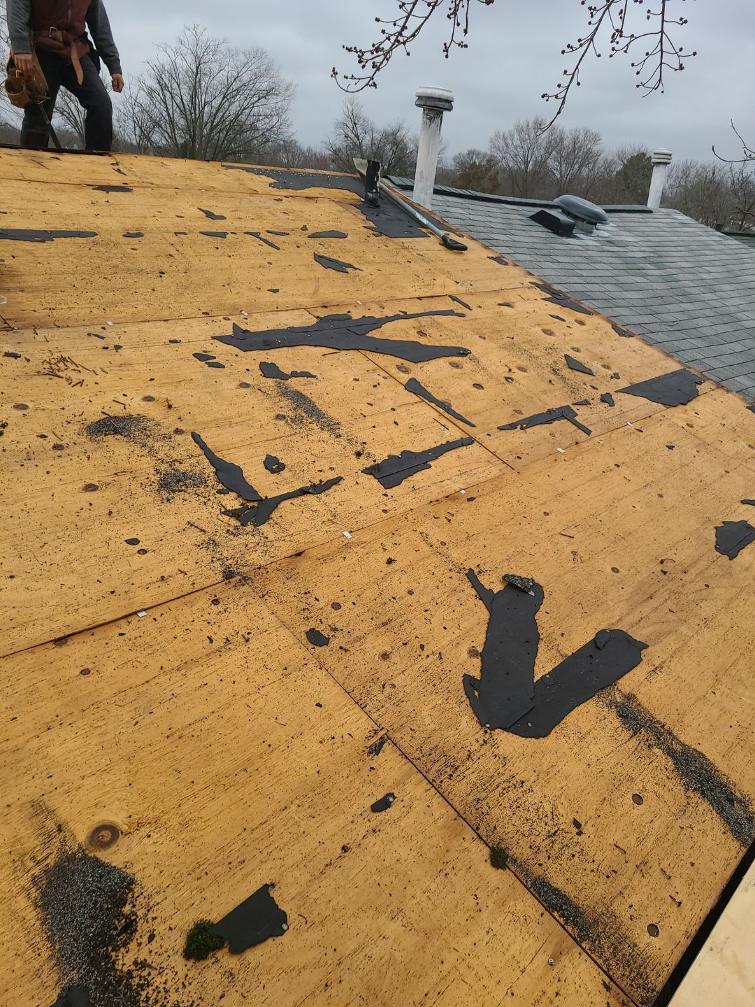 Alexandria Certainteed Landmark Roof in Colonial Slate by RM Banning, Inc.
