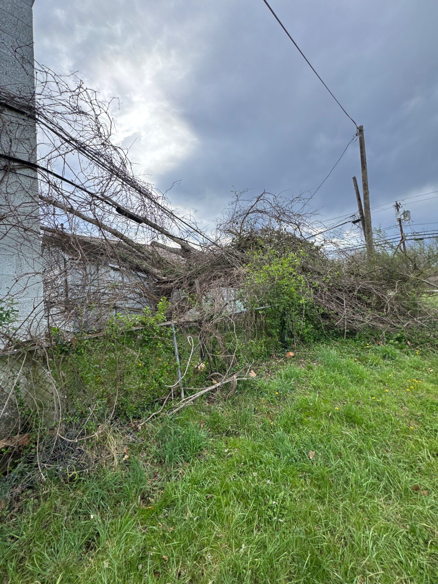 Project in Nitro, WV Rotator Crane Lifts Tree Off House | Nitro WV • One Wrong Move Job | Rotator Crane Tree Removal • Heavy Rescue Tree Job | Nitro WV • Extreme Tree Removal Over Home | Nitro WV by Jones Empire LLC