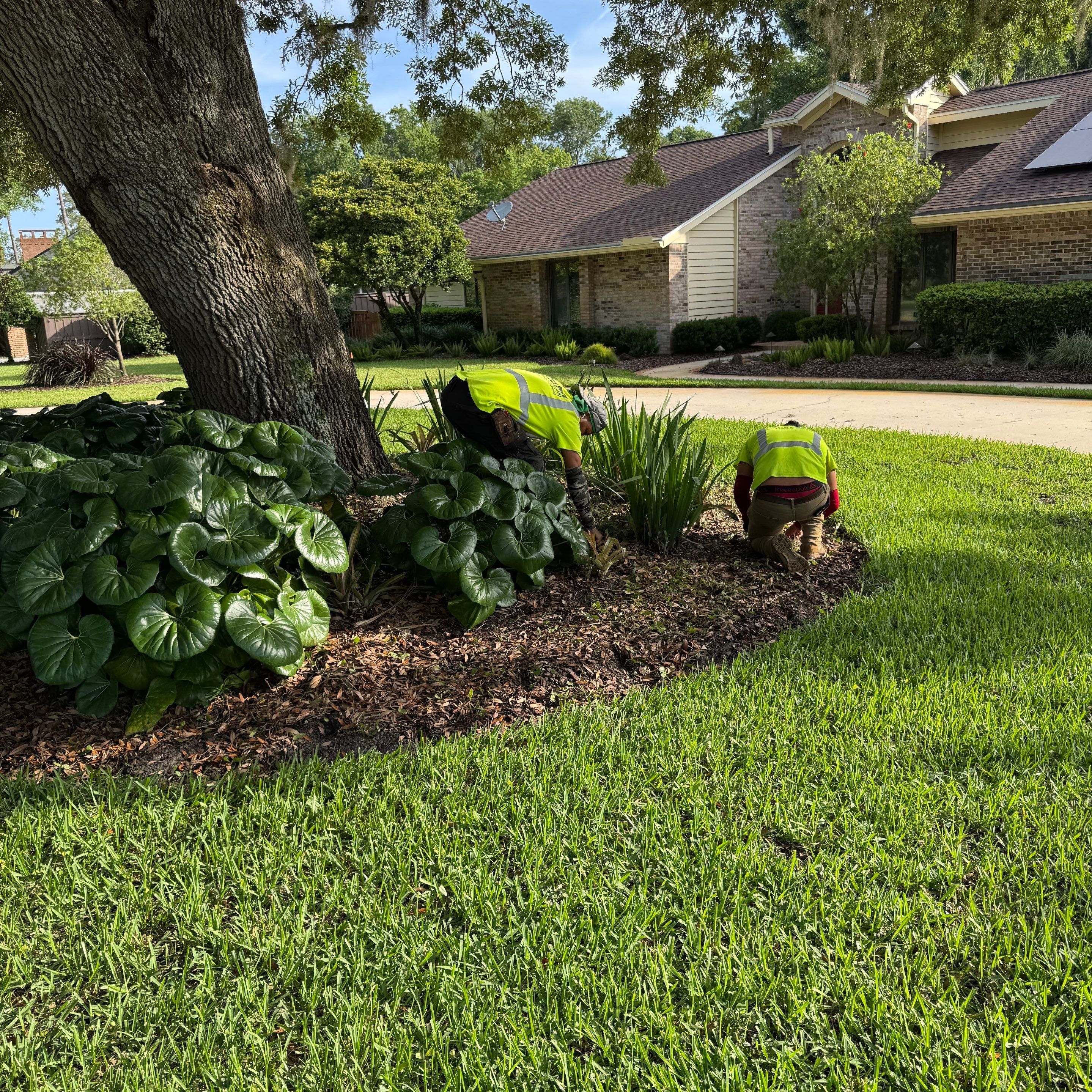 Deerwood Resident | Pine Bark Install & Clean-Up by ProGreen Services