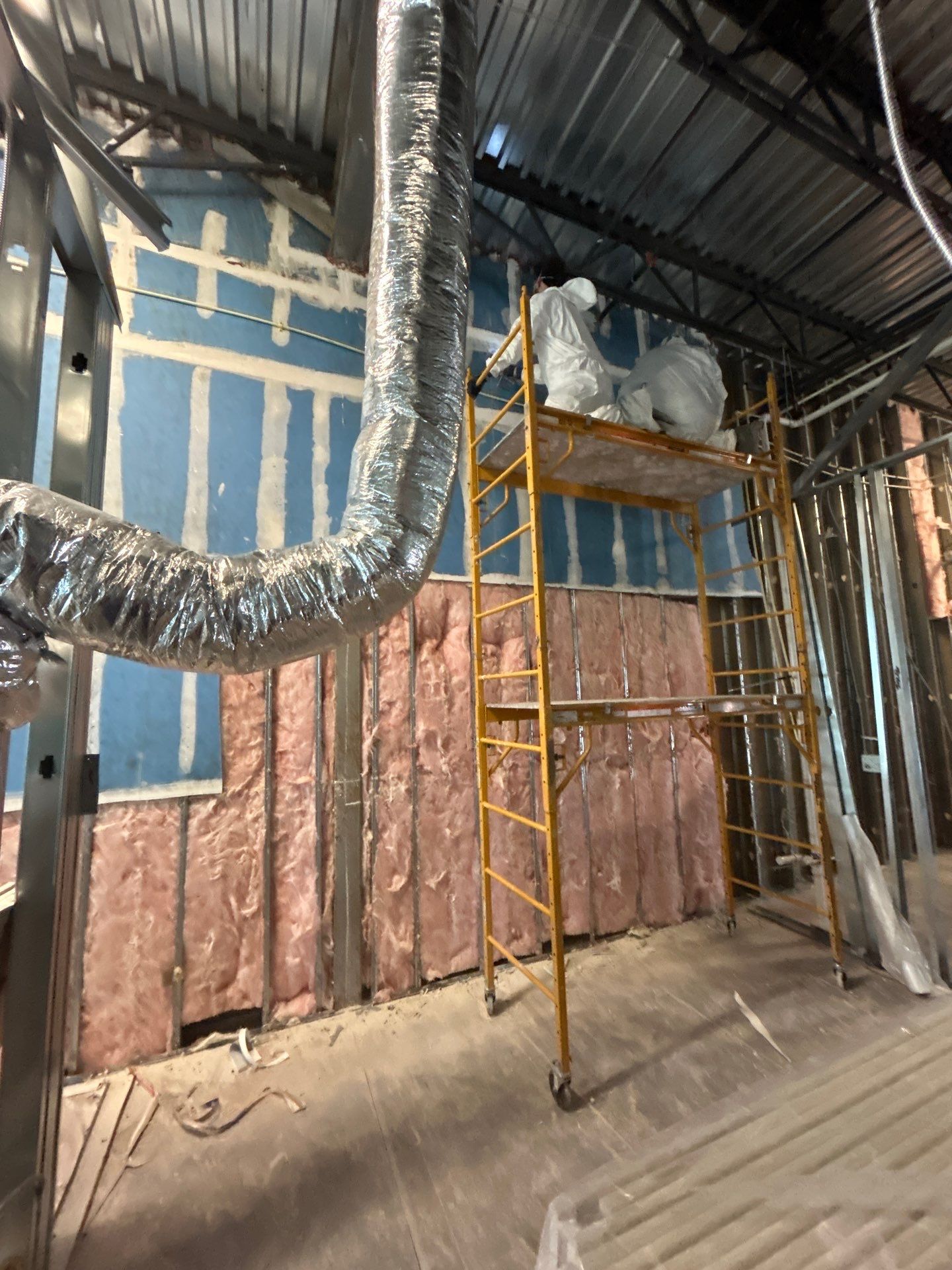 Parrish Mold Removal & Remediation  by Ampm Restoration Services 