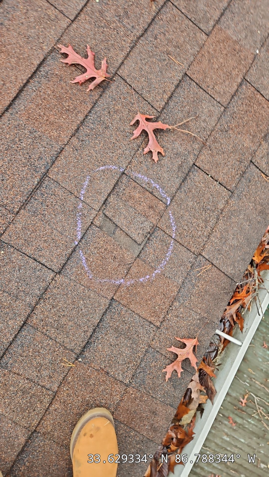 Roof Replacement (Barkwood) and Tree Removal in Birmingham  by The Roofing Dudes