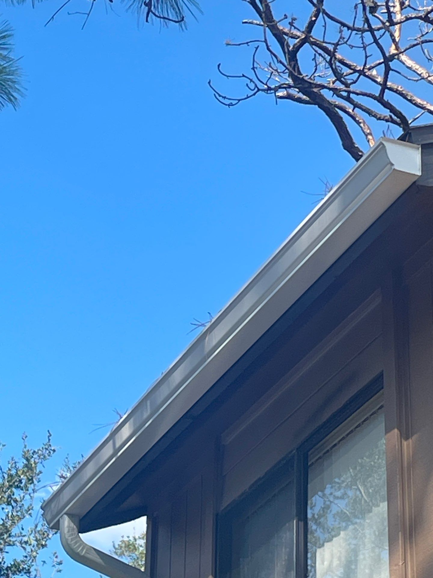 Clean Gutters and Roof in Sarasota FL by Gutter Professors