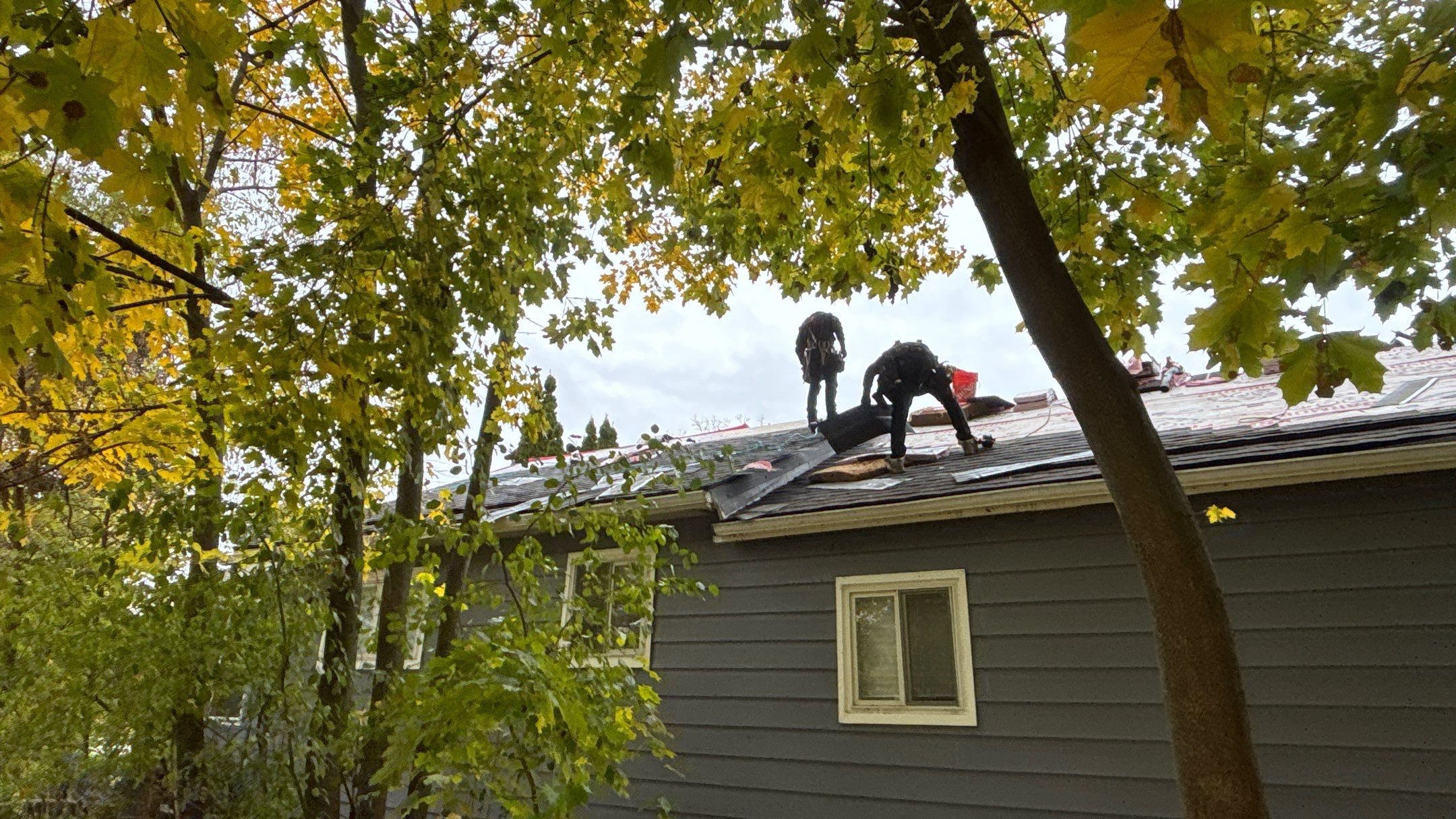 Roof Replacement using Owens Corning Midnight Plum by 180 Contractors