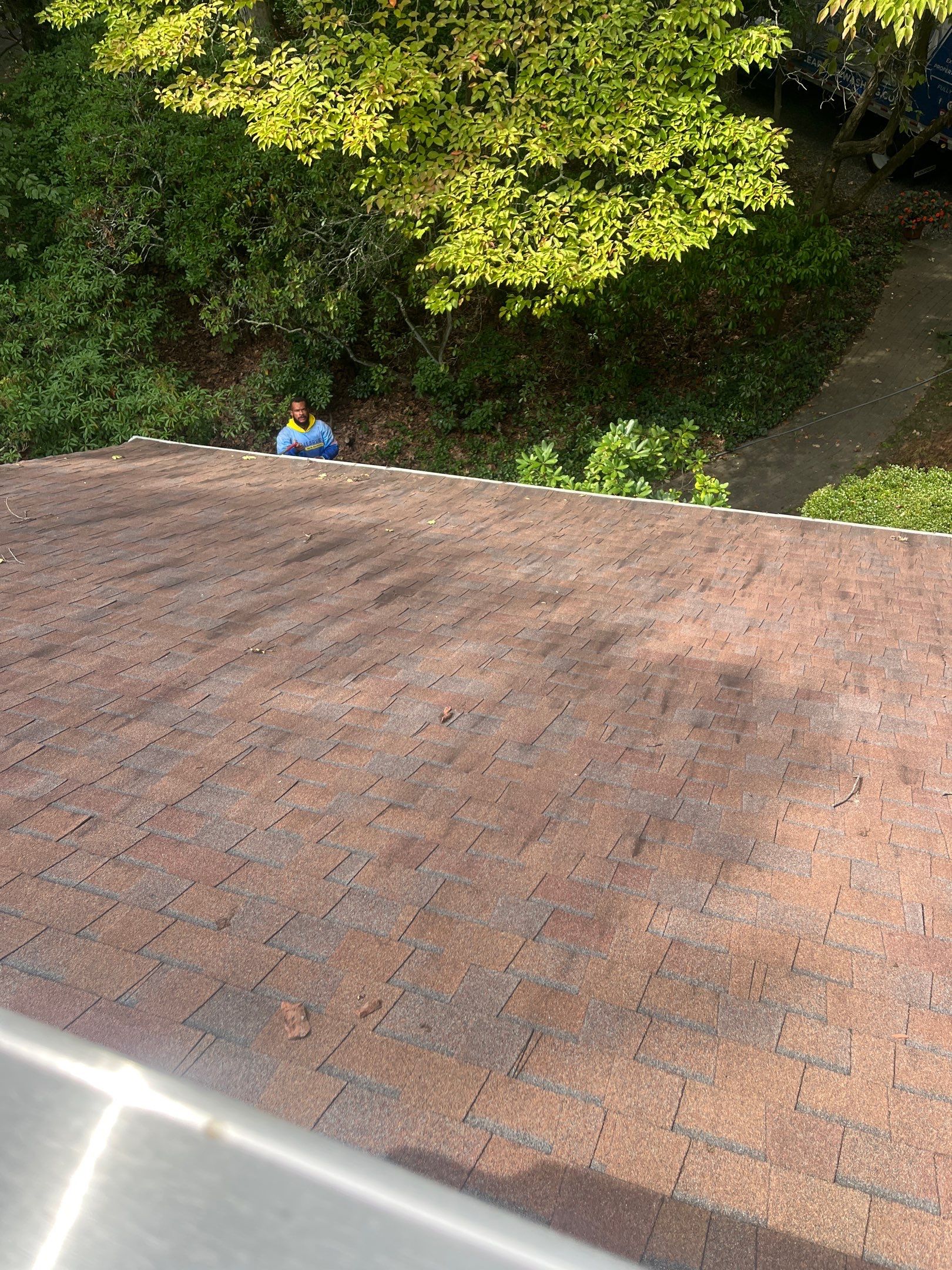 Roof Cleaning in Lincroft, NJ by Clearview Washing