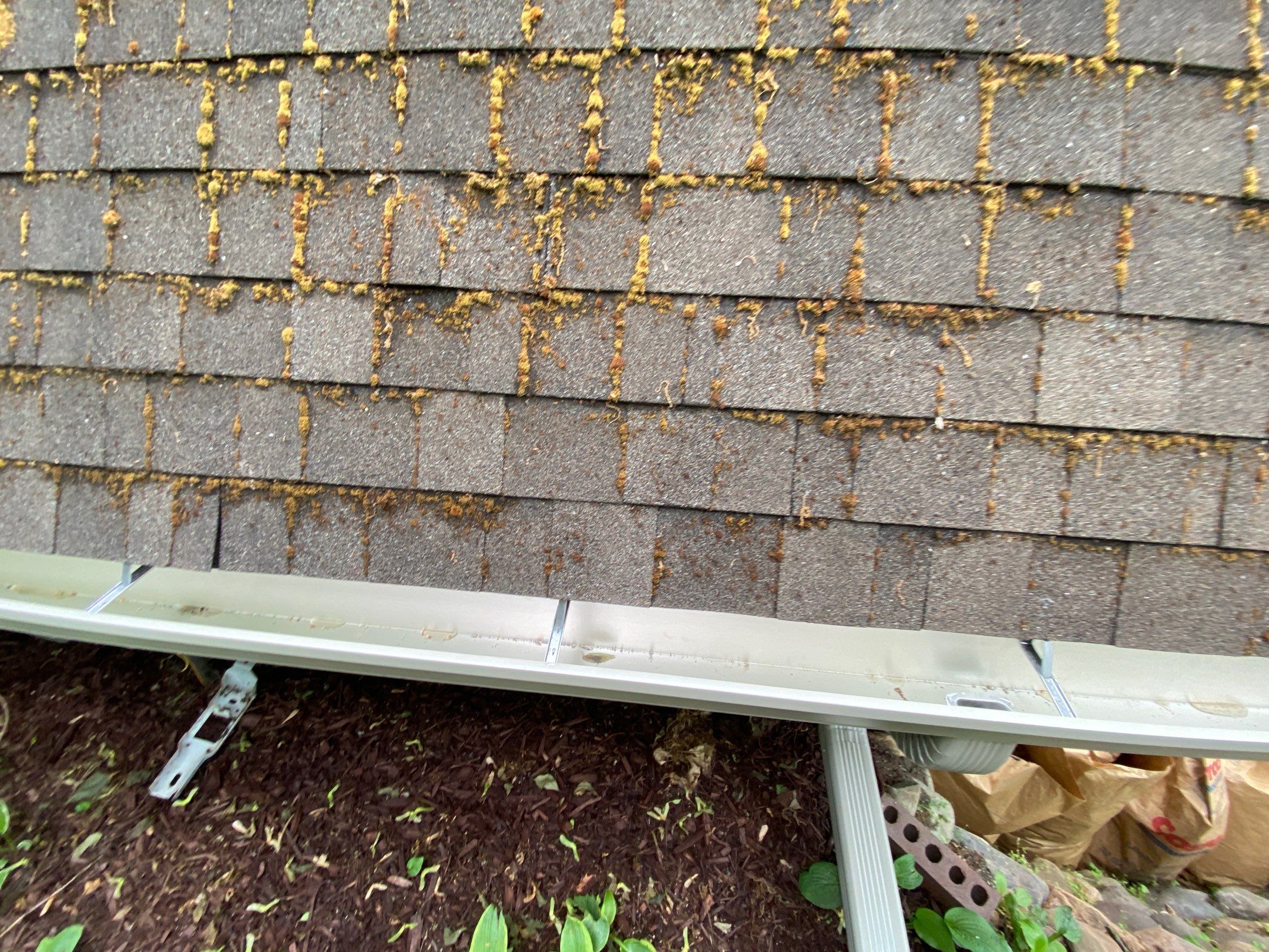 Siding Replacement using CertainTeed Restoration Classis D4 by 180 Contractors