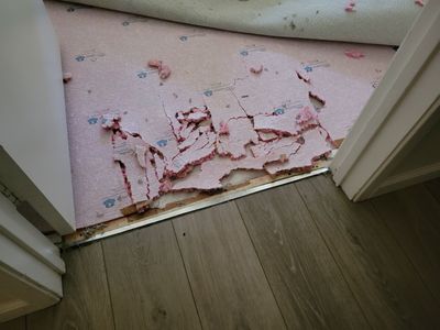 Repairing Carpet Damaged by a Dog