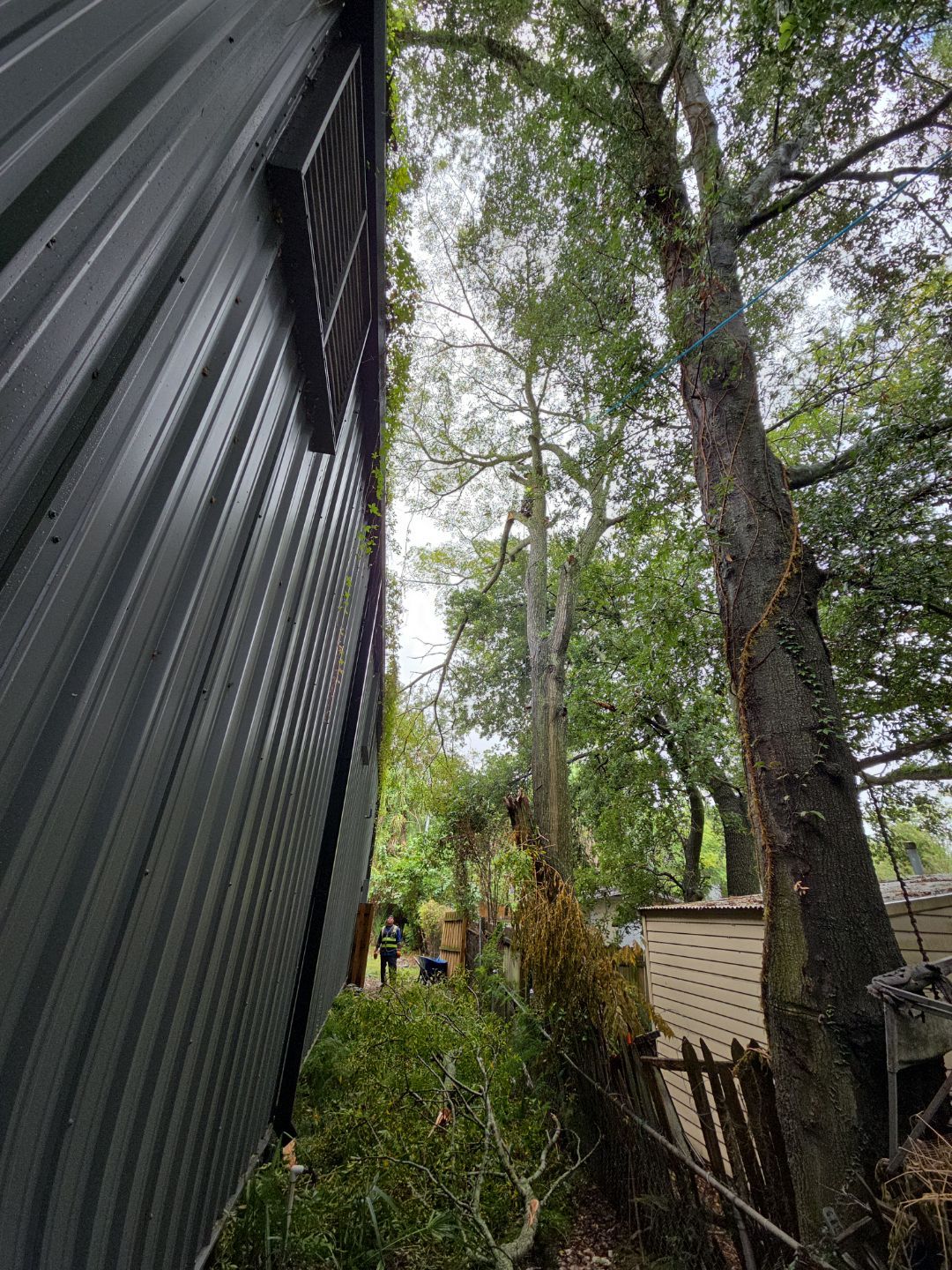 Crash Champions | Tree Removal & Cleanup by ProGreen Services
