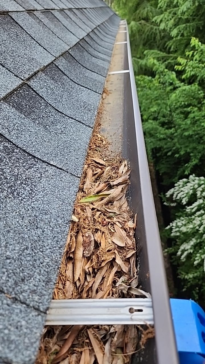 House Wash using cleaner by Power Wash Masters LLC