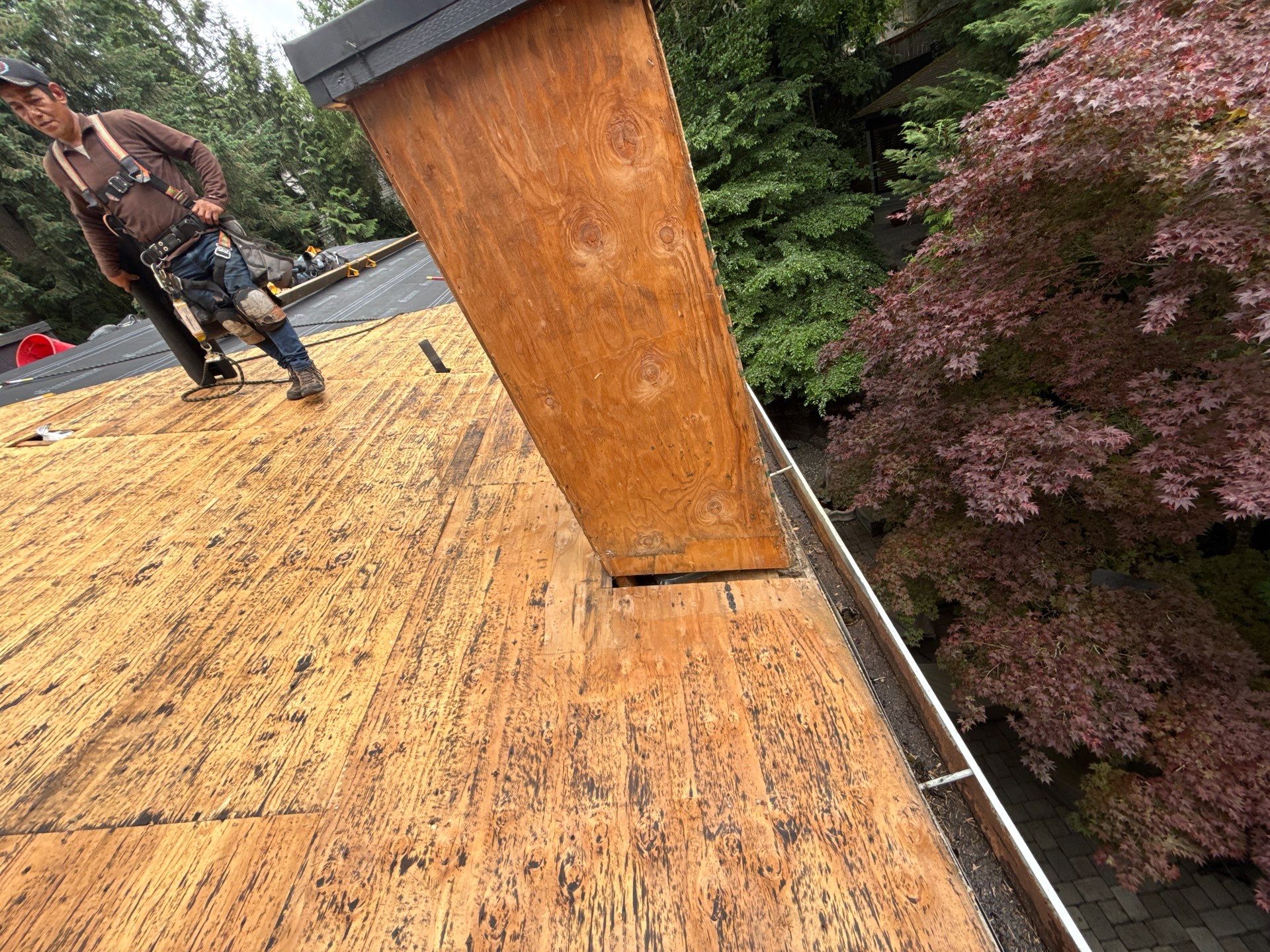 Project in West linn by Tom Leach Roofing