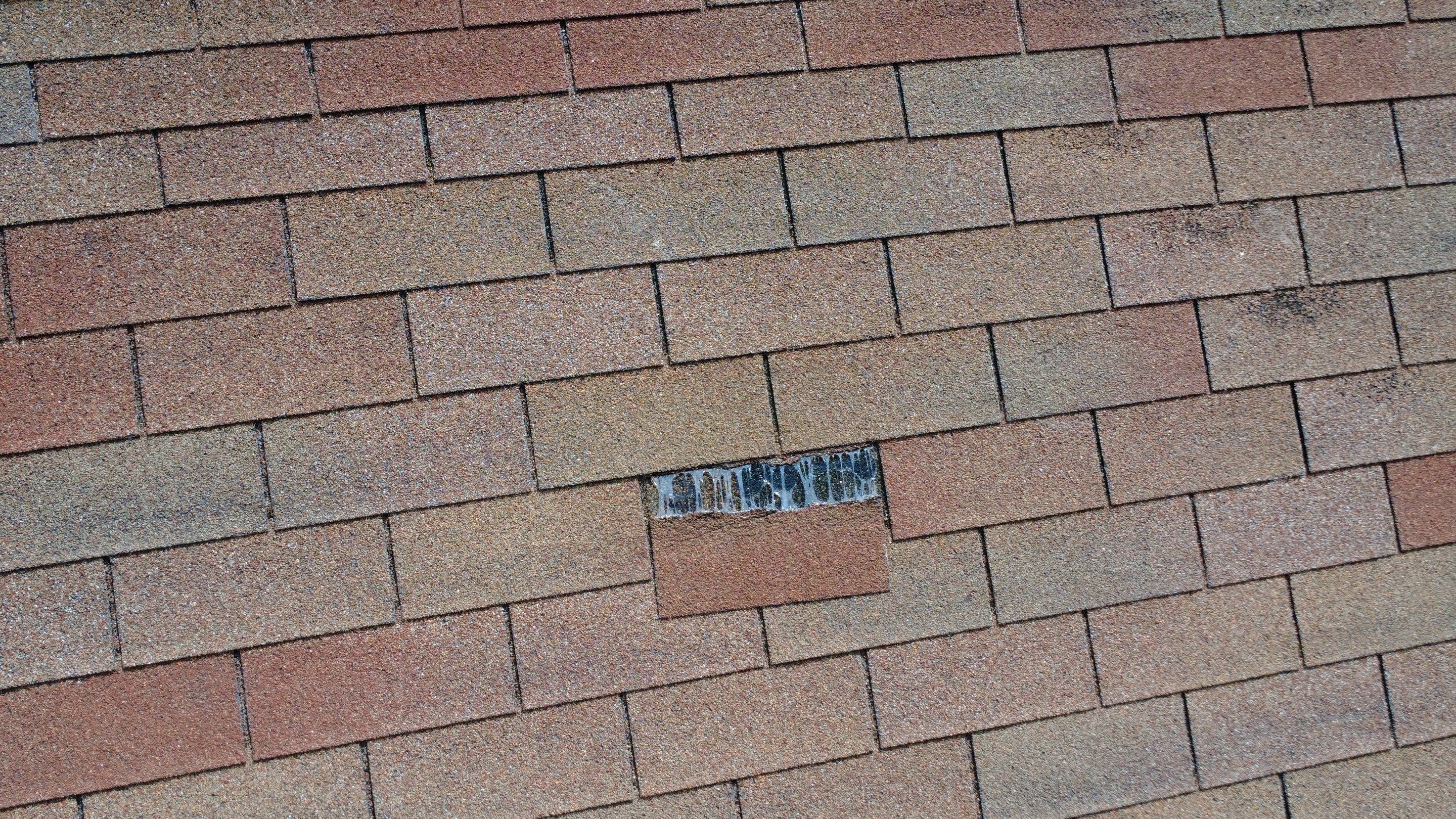 Residential Roofing Install - Atlas Pinnacle Pristine Shingles - Color Oyster  by Titan Commercial & Residential Roofing 