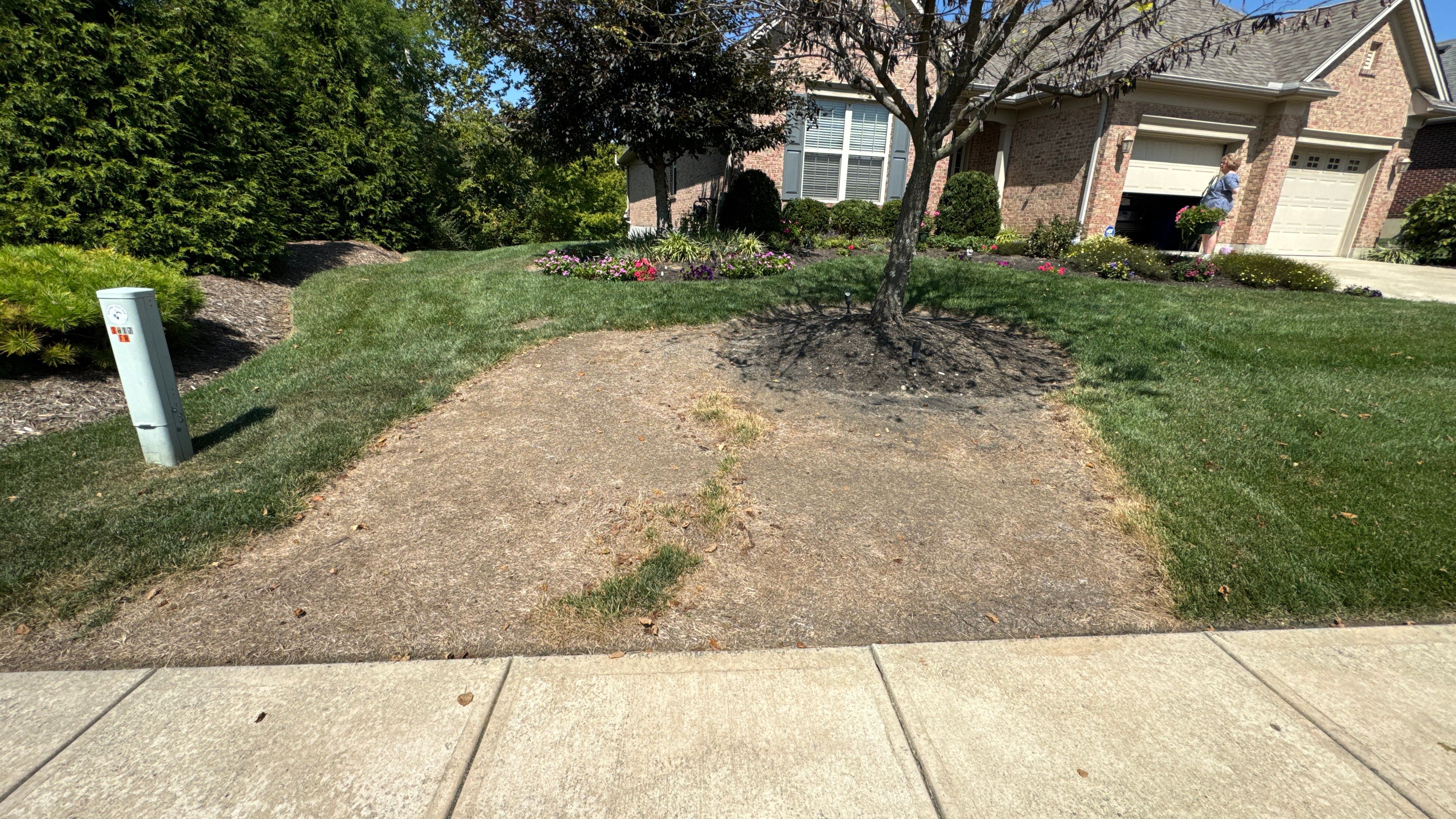 Sod Restoration by Reisenberg’s Lawn & Landscape, LLC