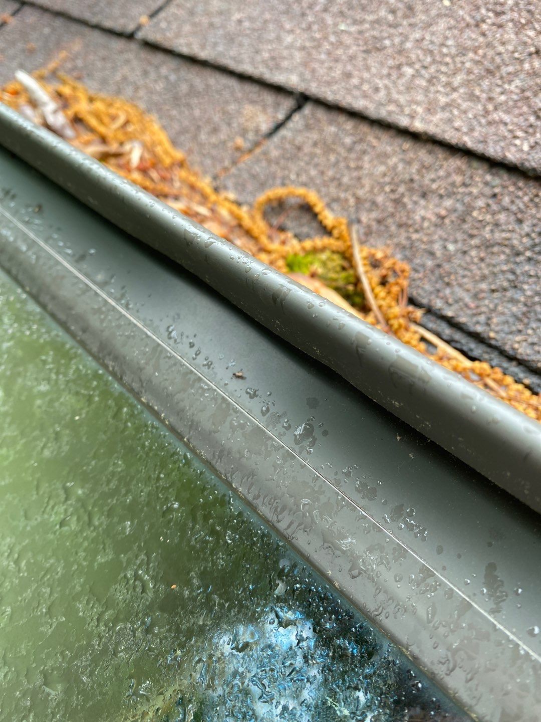 Arlington: CertainTeed Landmark Pro Designer Shingles in Max Def Shenandoah by RM Banning, Inc.