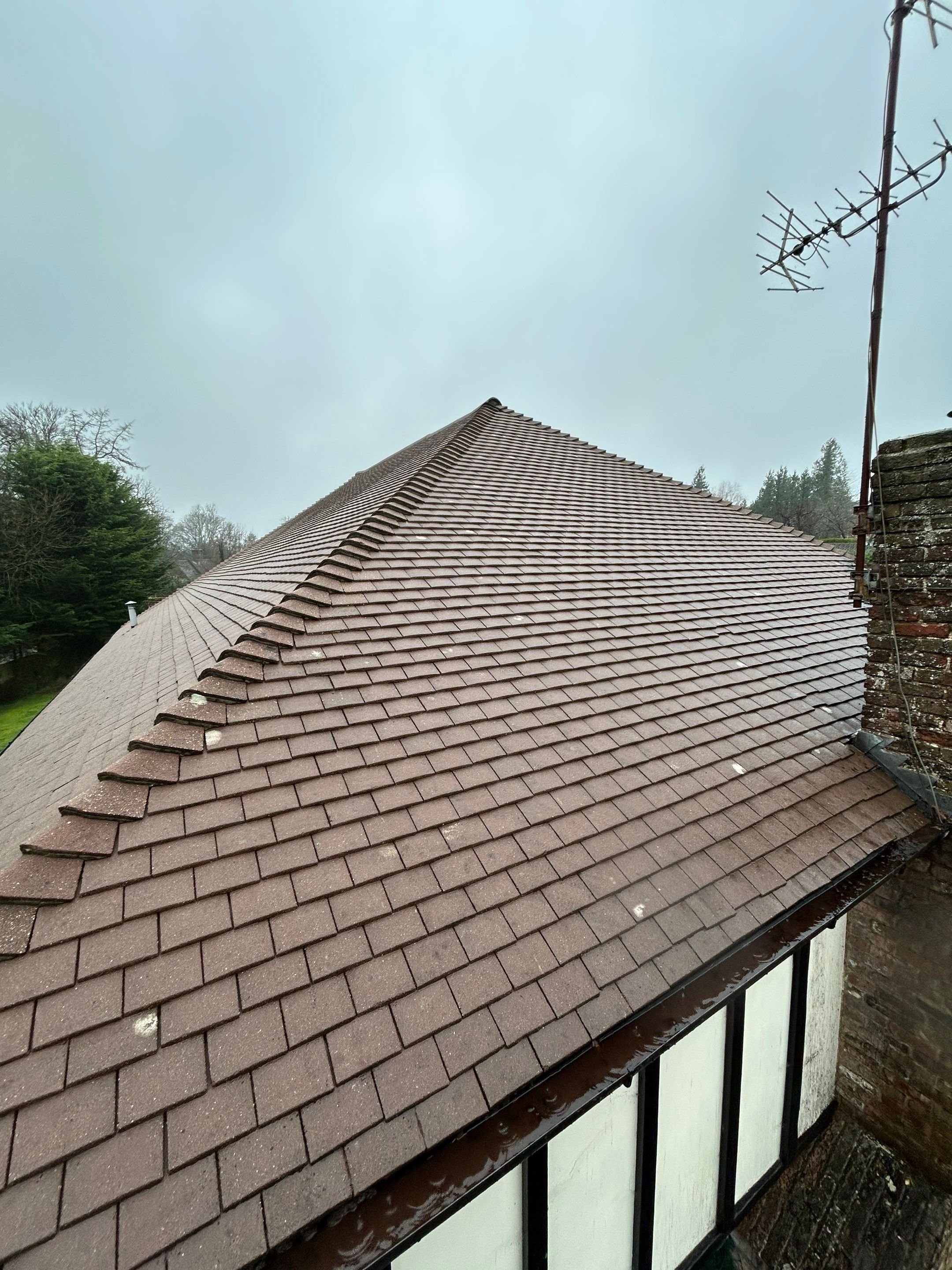 Roof Cleaning Kingswood by Ges Exterior Cleaning ltd