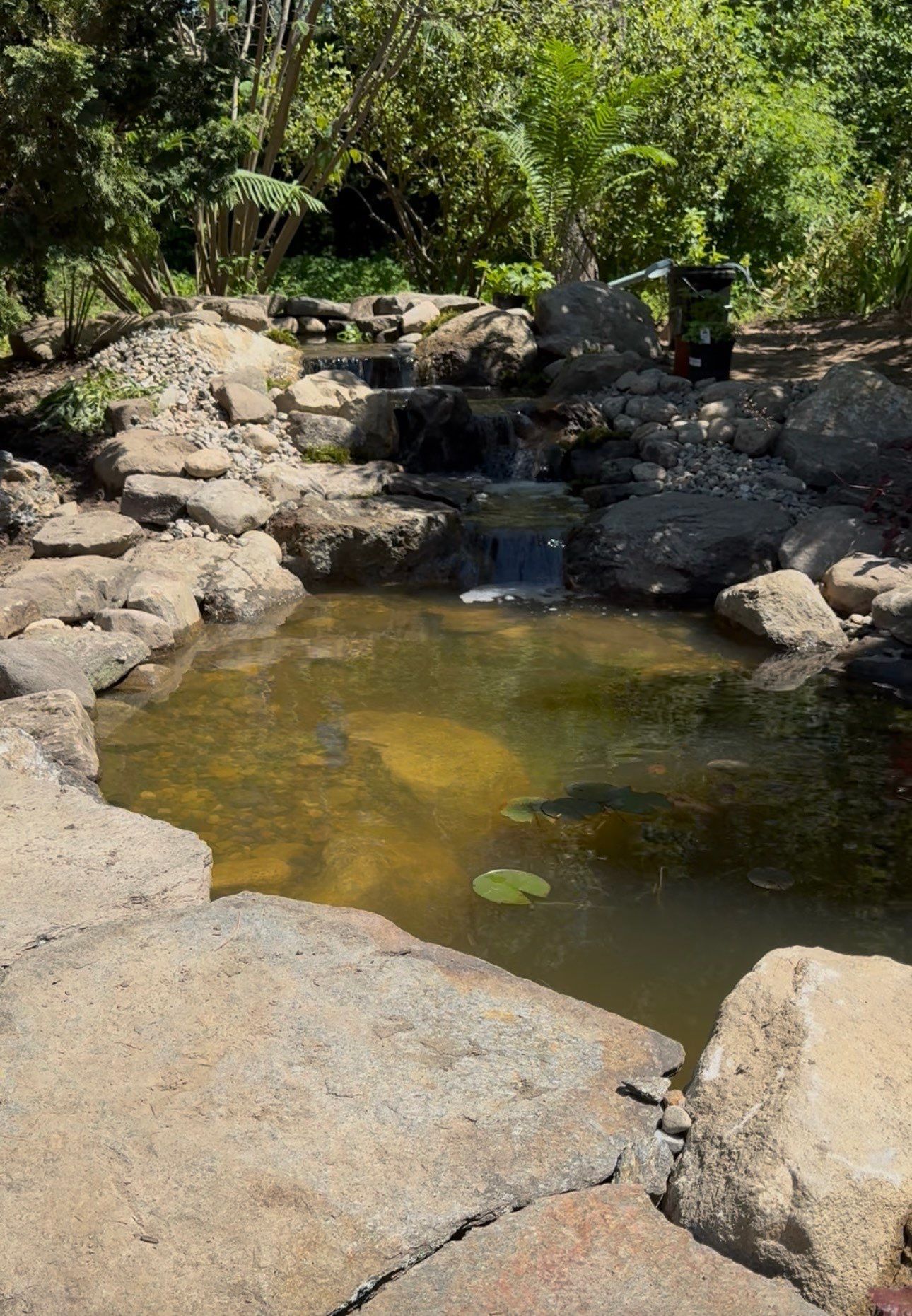 Complete Demo and Rebuild on a Small Pond in Amherst by Wicked Water Gardens
