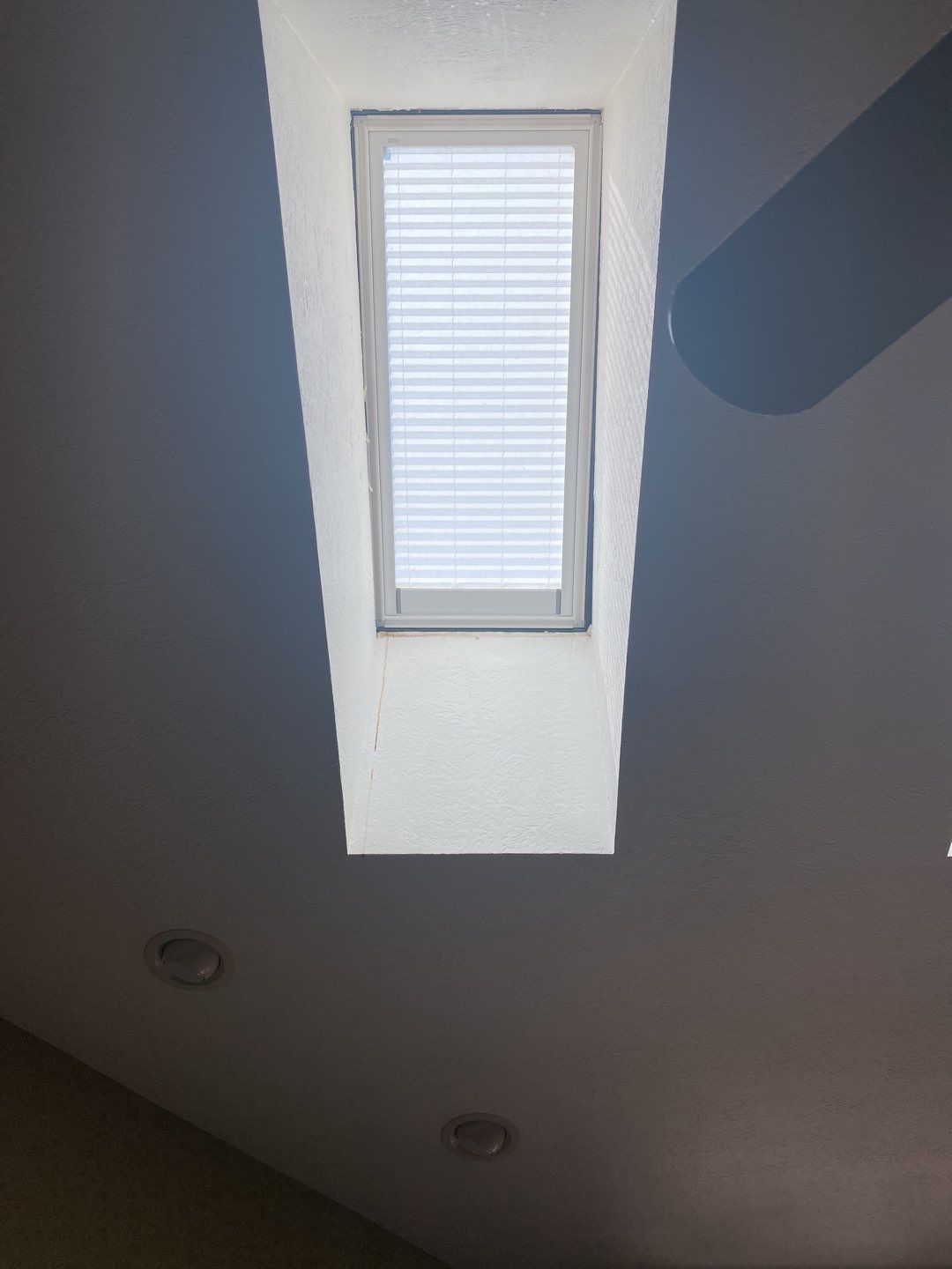 Patricia Hird by Silver Leaf Contracting 