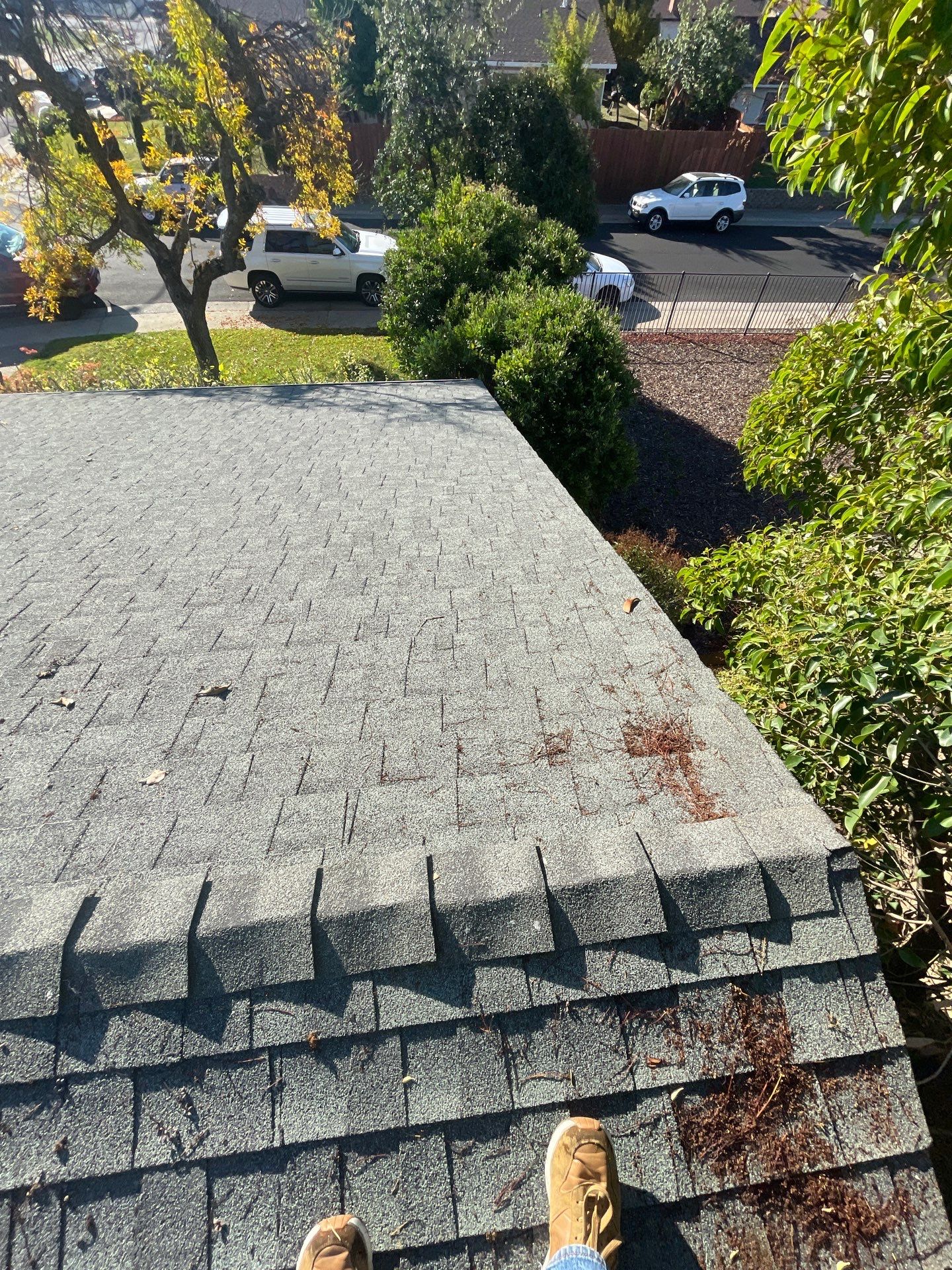 Roof Rejuvenation using Roof Maxx Treatment by Roof Maxx of Folsom