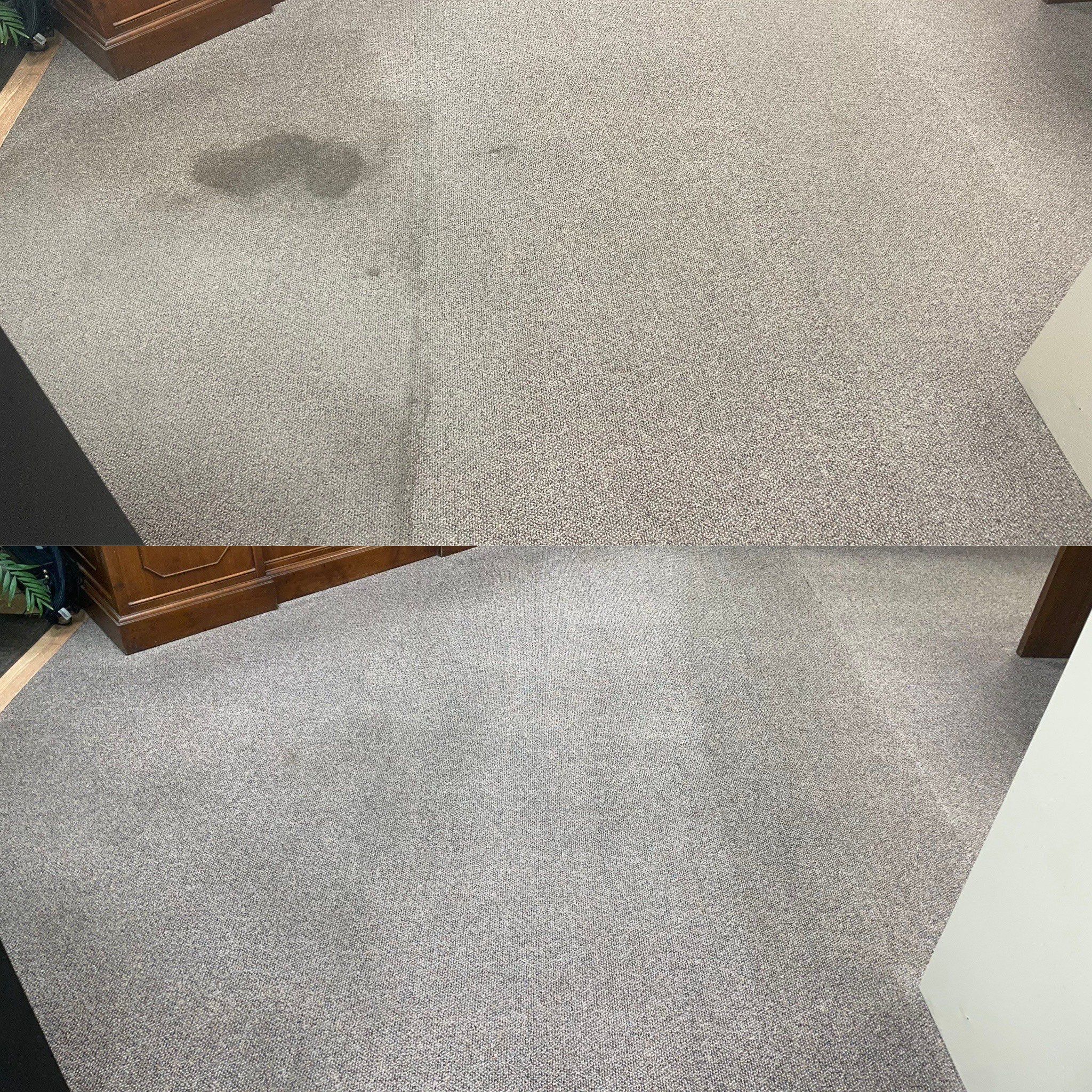 carpet cleaning service showing a heavily stained carpet being cleaned to a spotless conditionsan antonio based company