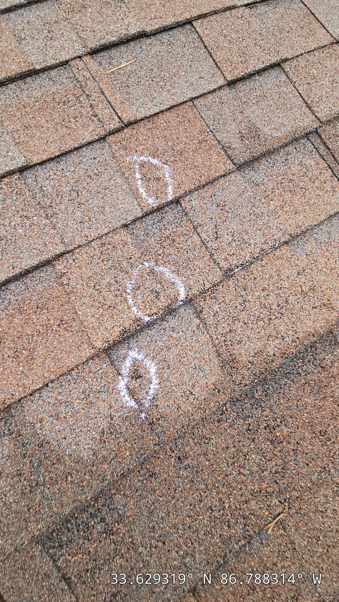 Roof Replacement (Barkwood) and Tree Removal in Birmingham  by The Roofing Dudes