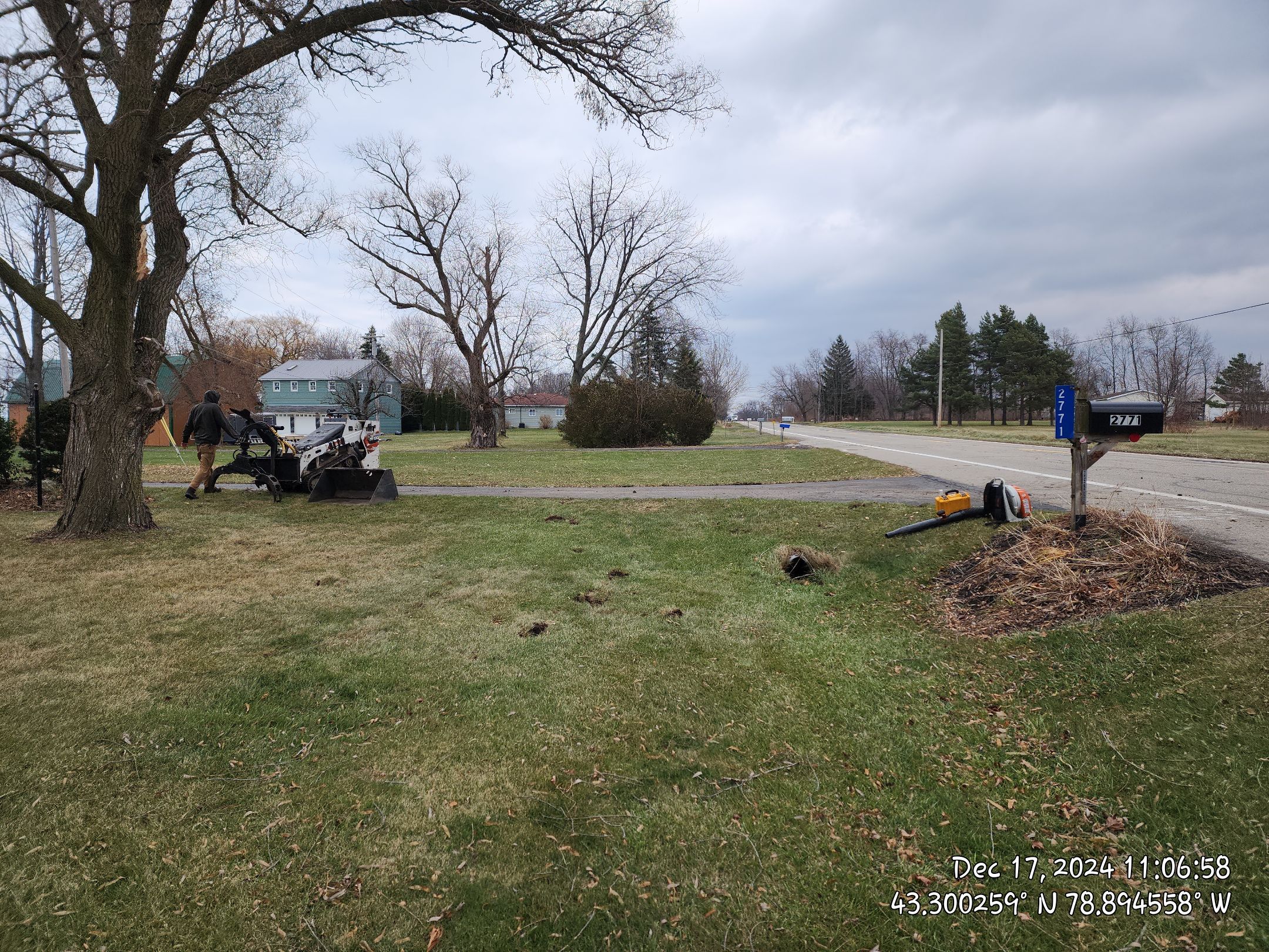 Emergency Job: Clear driveway by Treeman Tom LLC