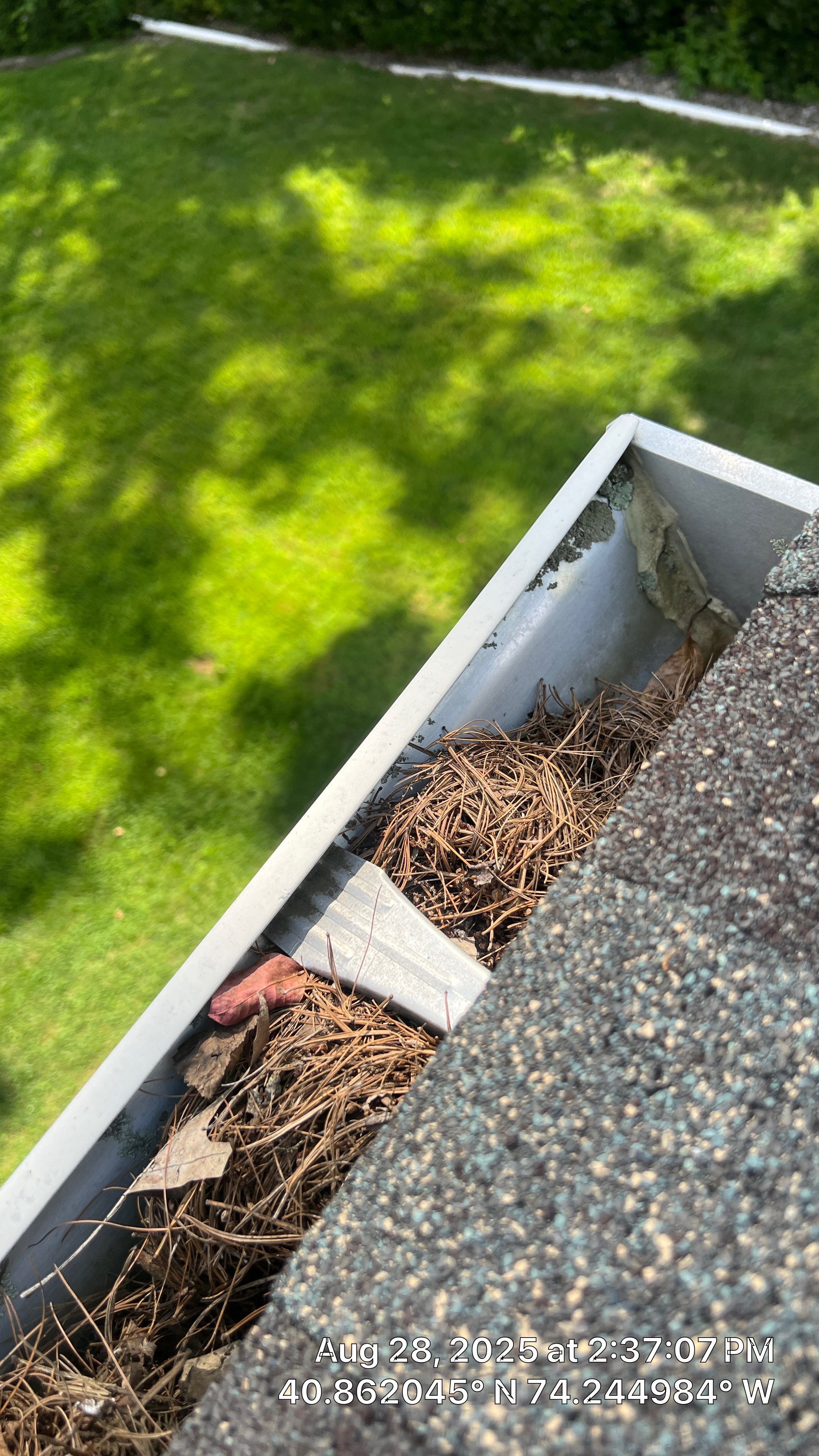 Comprehensive Gutter Cleaning and Drainage System Service in Caldwell by NJ Home Maintenance Services