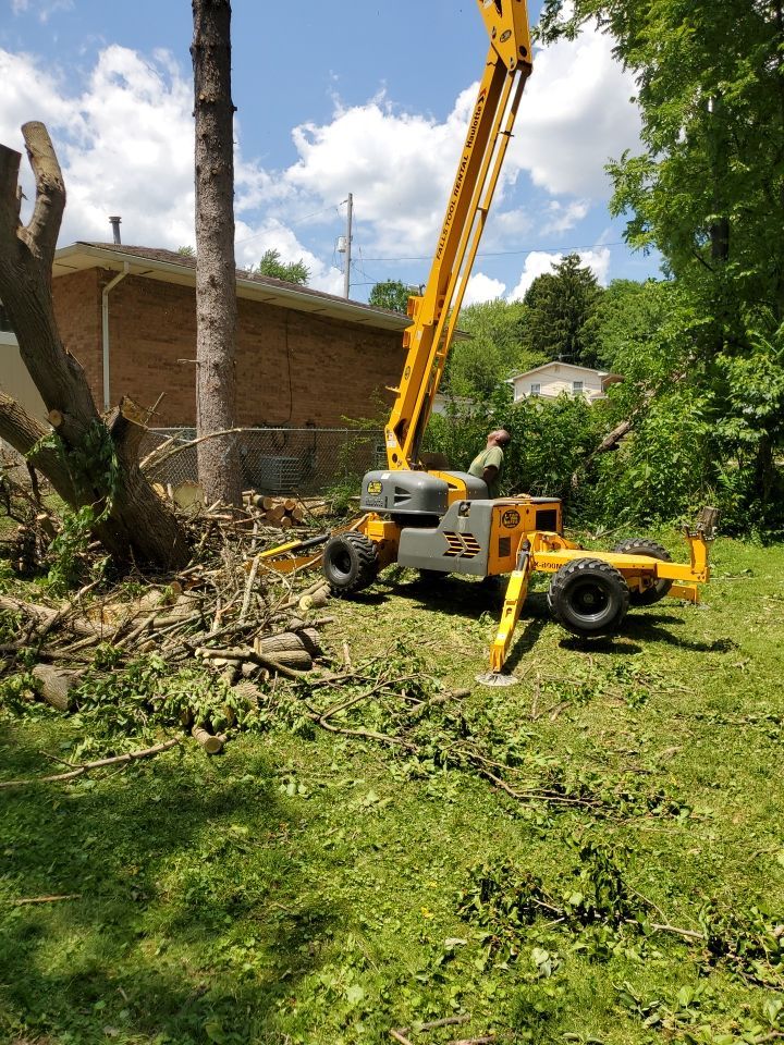 Tree Removal using Tree Removal by Mike Jones & Sons Tree Service LLC 