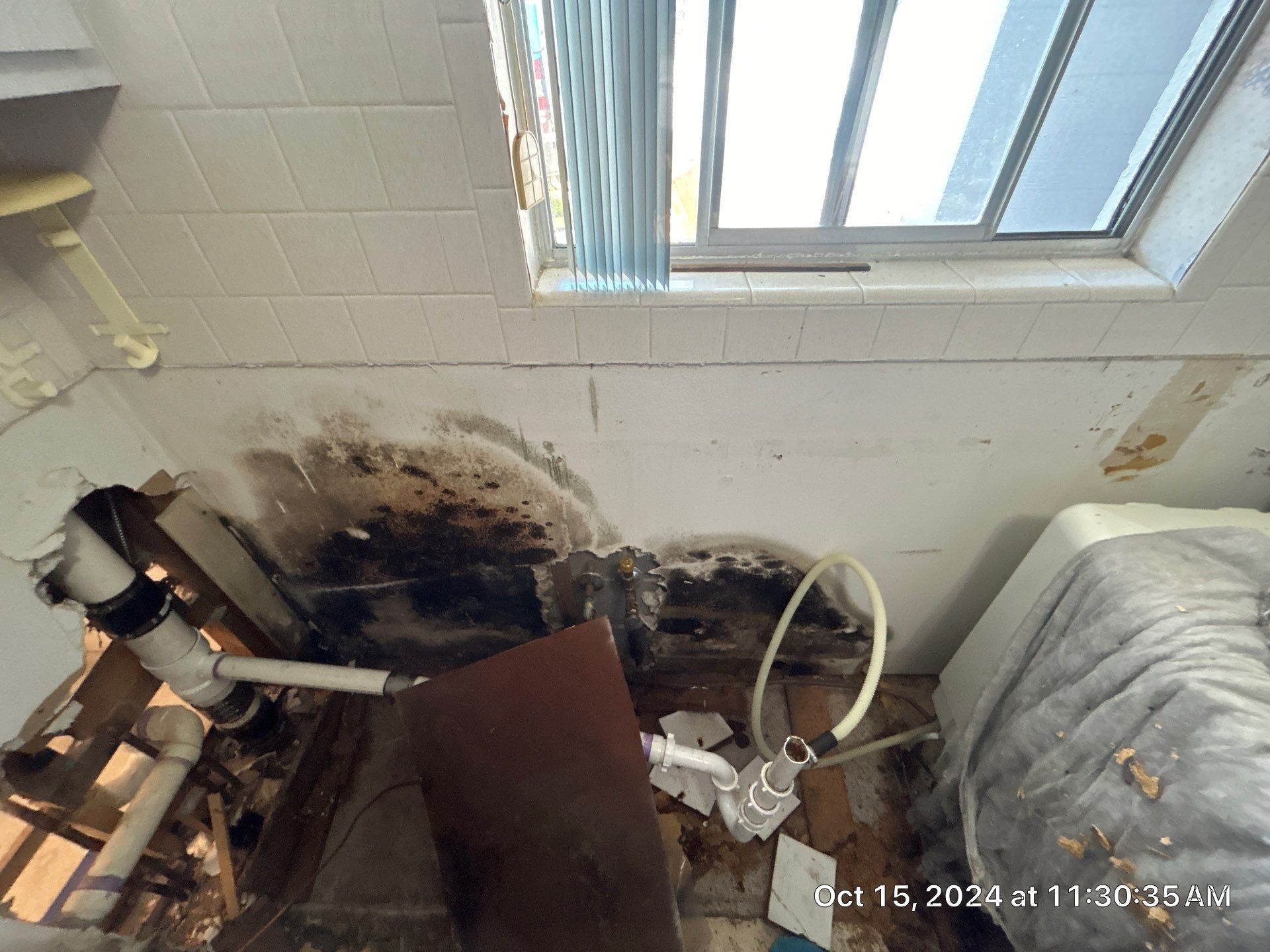 Mold Inspection by Ampm Restoration Services