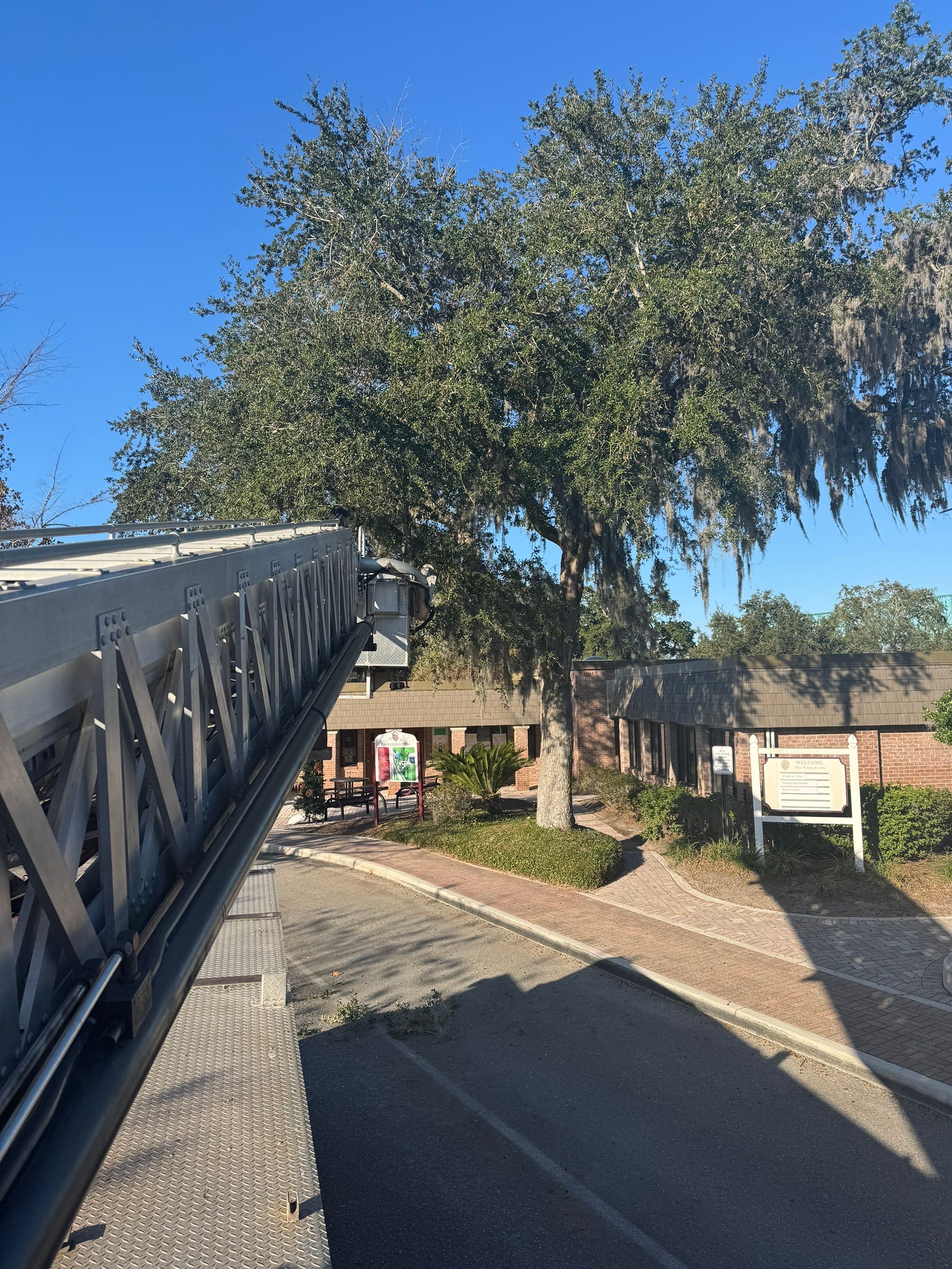 Volunteer Work | Episcopal High School of Jacksonville by ProGreen Services