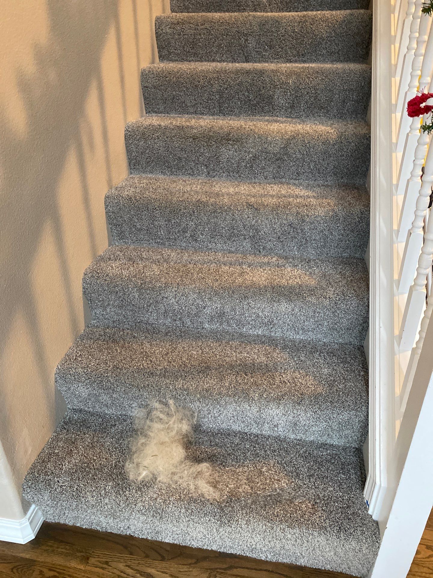 House cleaner Project in Tigard by Cloud 9 Professional Cleaning Services