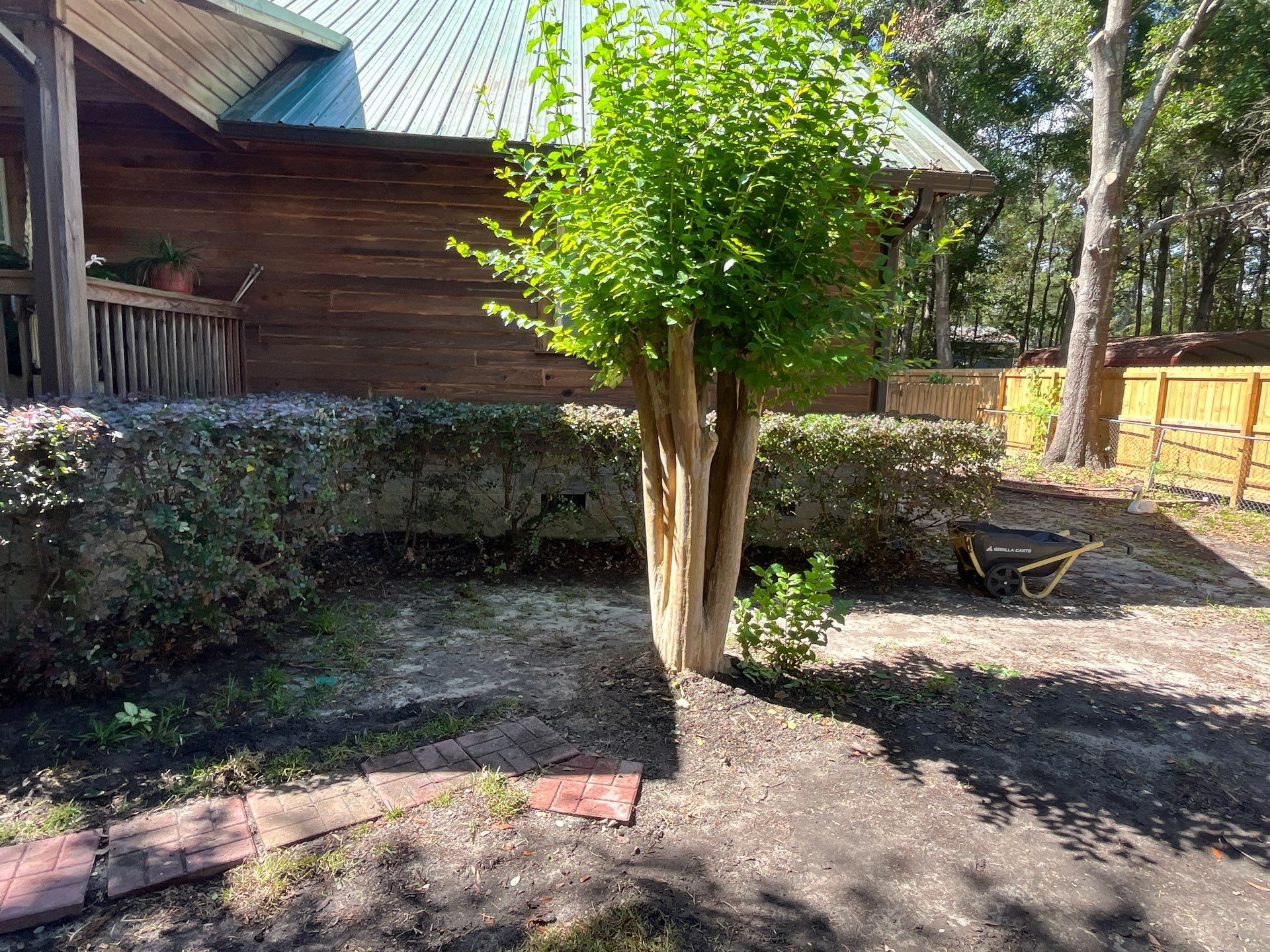 Hedge Trimming in Summerville by Hudson Bros Lawn Care LLC