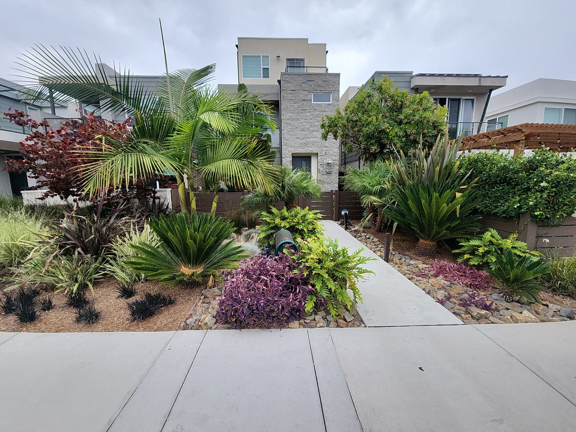 Modern Residential Landscaping in San Diego by Yard Techs