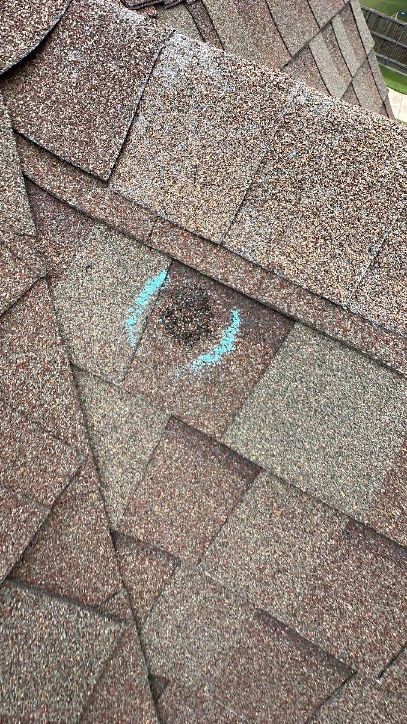 Residential Roof Replacement using Atlas Pinnacle IR in Heather Blend by Elite Roofing LLC