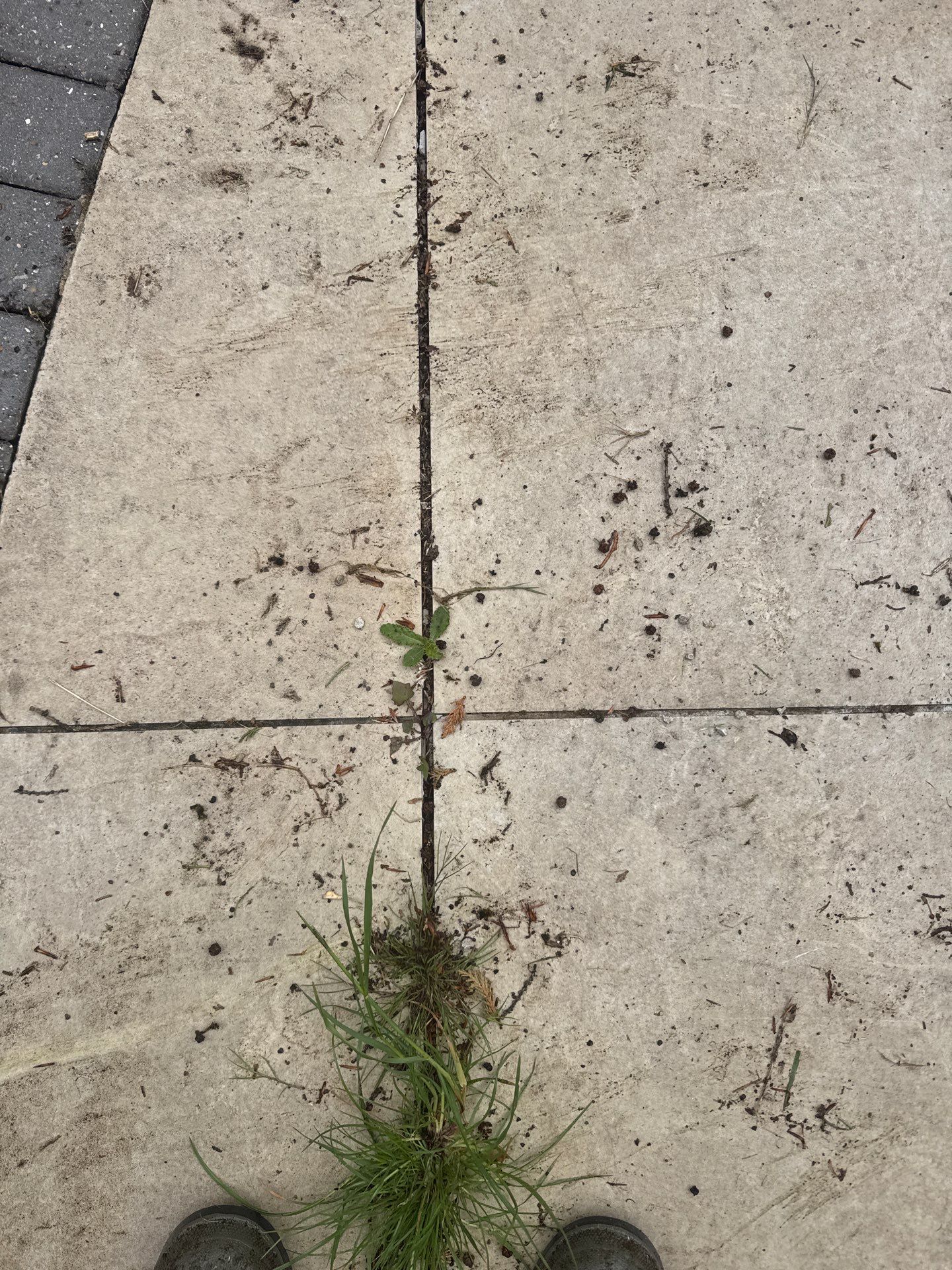 Patio Clean by Ges Exterior Cleaning ltd