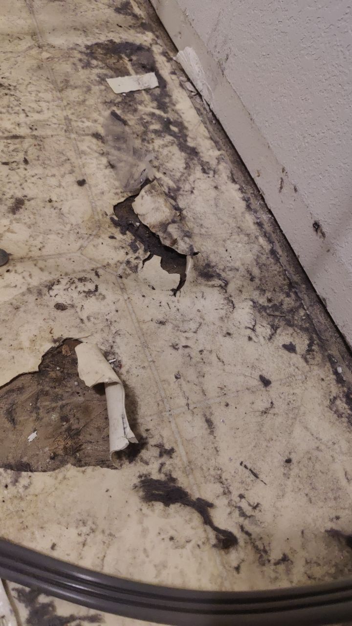 Water Damage  by Accountable Home Services