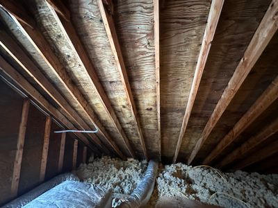 Attic Mold Remediation