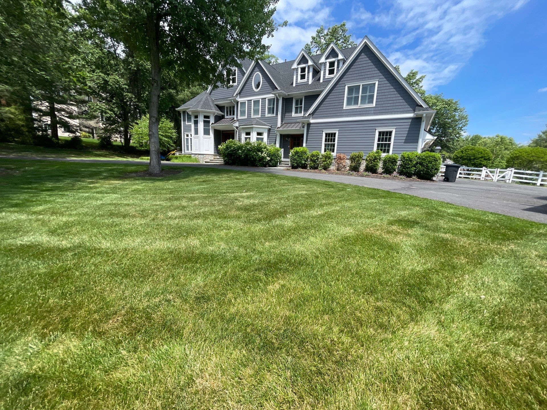 Comprehensive Lawn Care in Warren by Ants Plants
