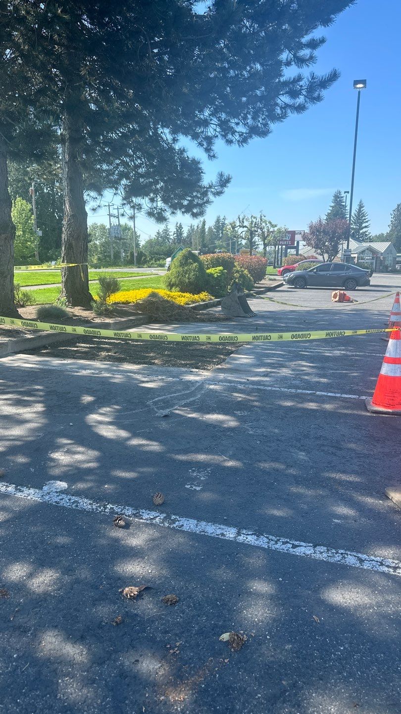 Amanda | Concrete Curb by Jireh Asphalt & Concrete Inc 