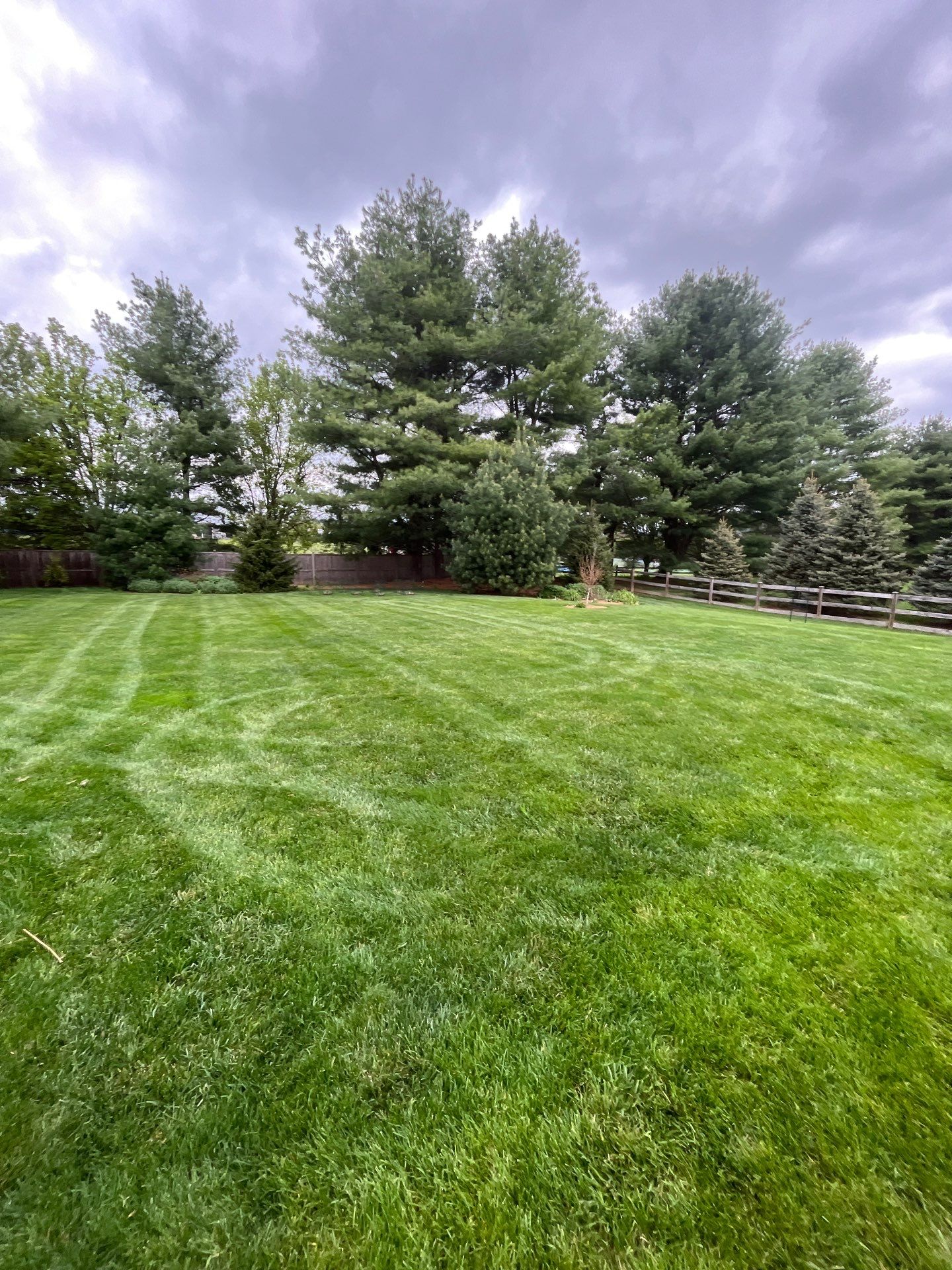 Comprehensive Ornamental Shrub Care in Peapack by Ants Plants