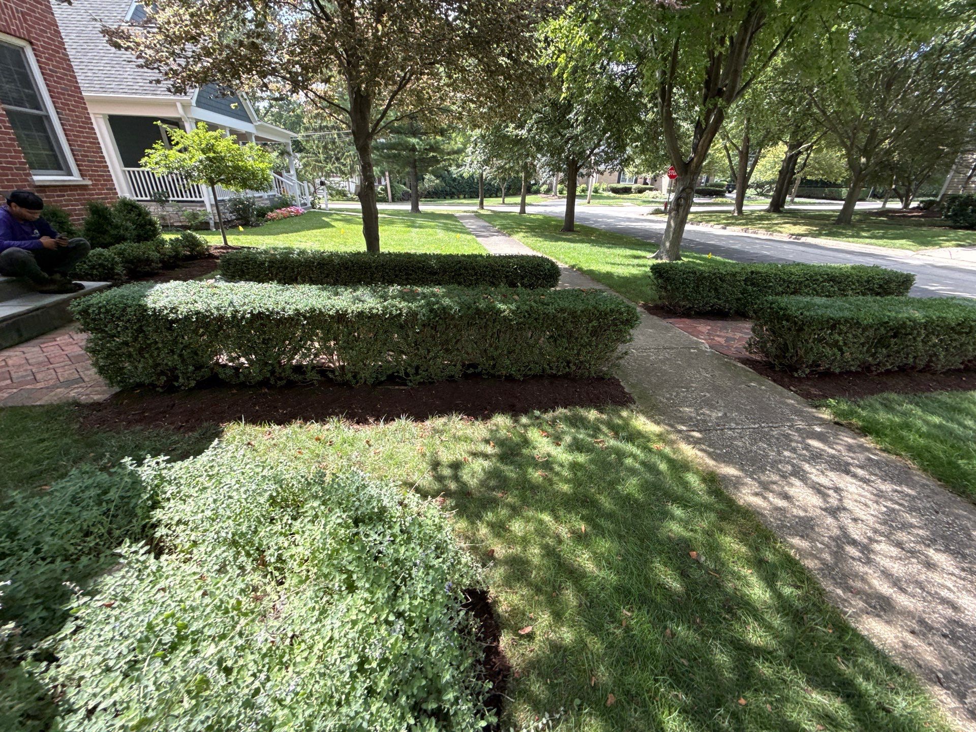 Jason G. - Arlington Heights, IL by A&N