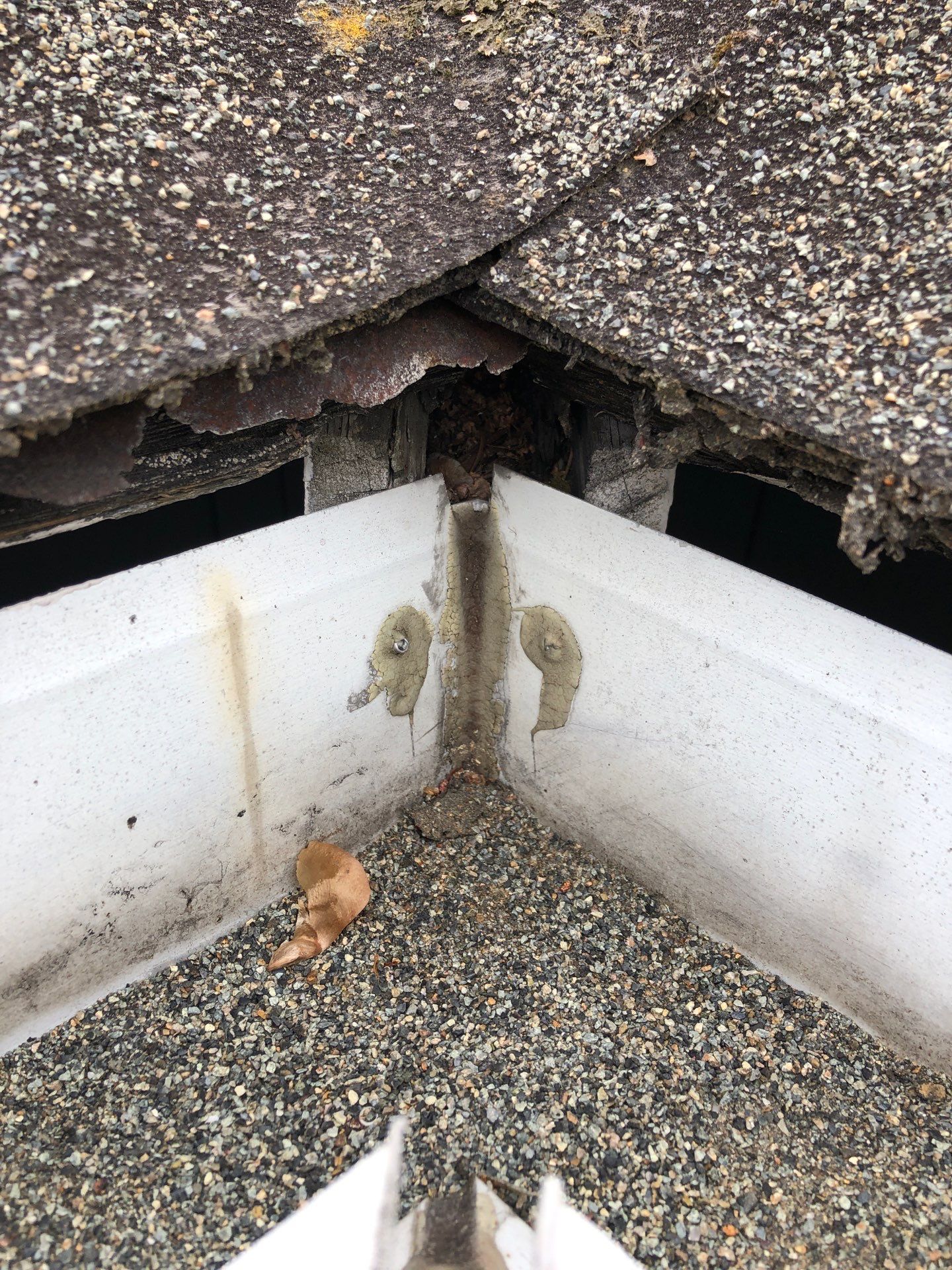 Project in Seattle by Connolly Construction Company