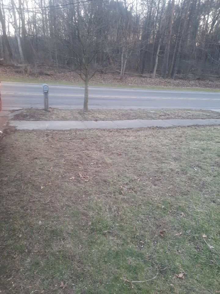 Tree Trimming using Tree Pruing by Mike Jones & Sons Tree Service LLC 