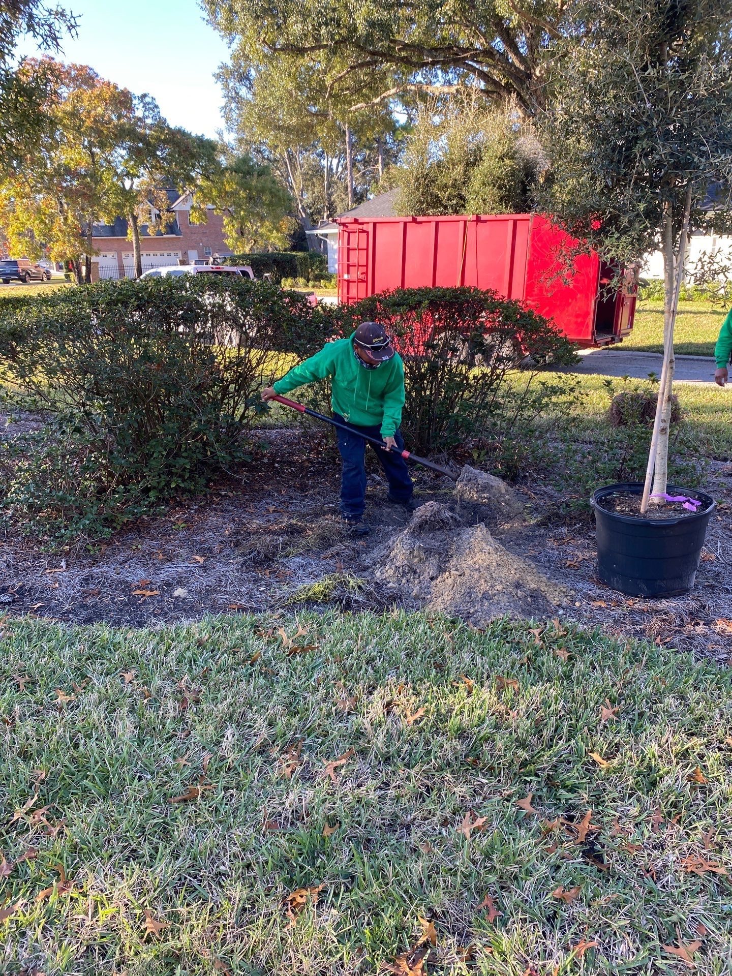 Deerwood Community | Oak Tree Replacement Project by ProGreen Services