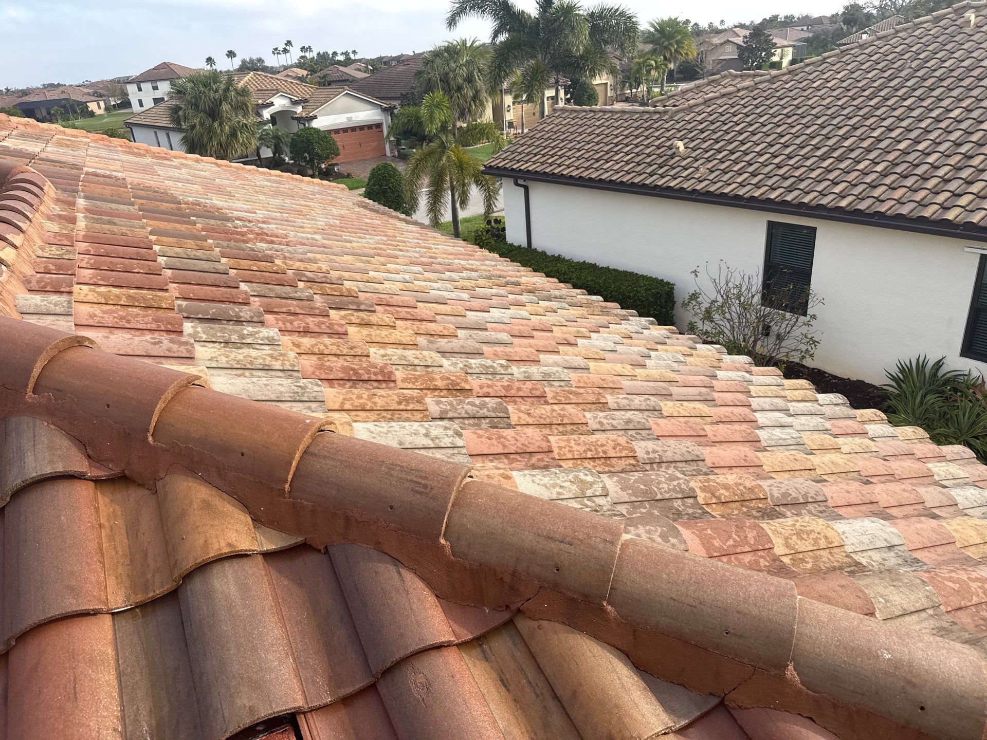 Paver Pool Deck, Driveway & Concrete Tile Roof Cleaning in River Strand, Bradenton, FL | Sunshine AquaWash by Sunshine AquaWash