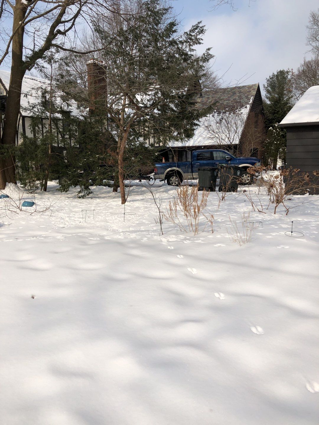 Firewood Delivery  using Seasoned Firewood by Mike Jones & Sons Tree Service LLC 