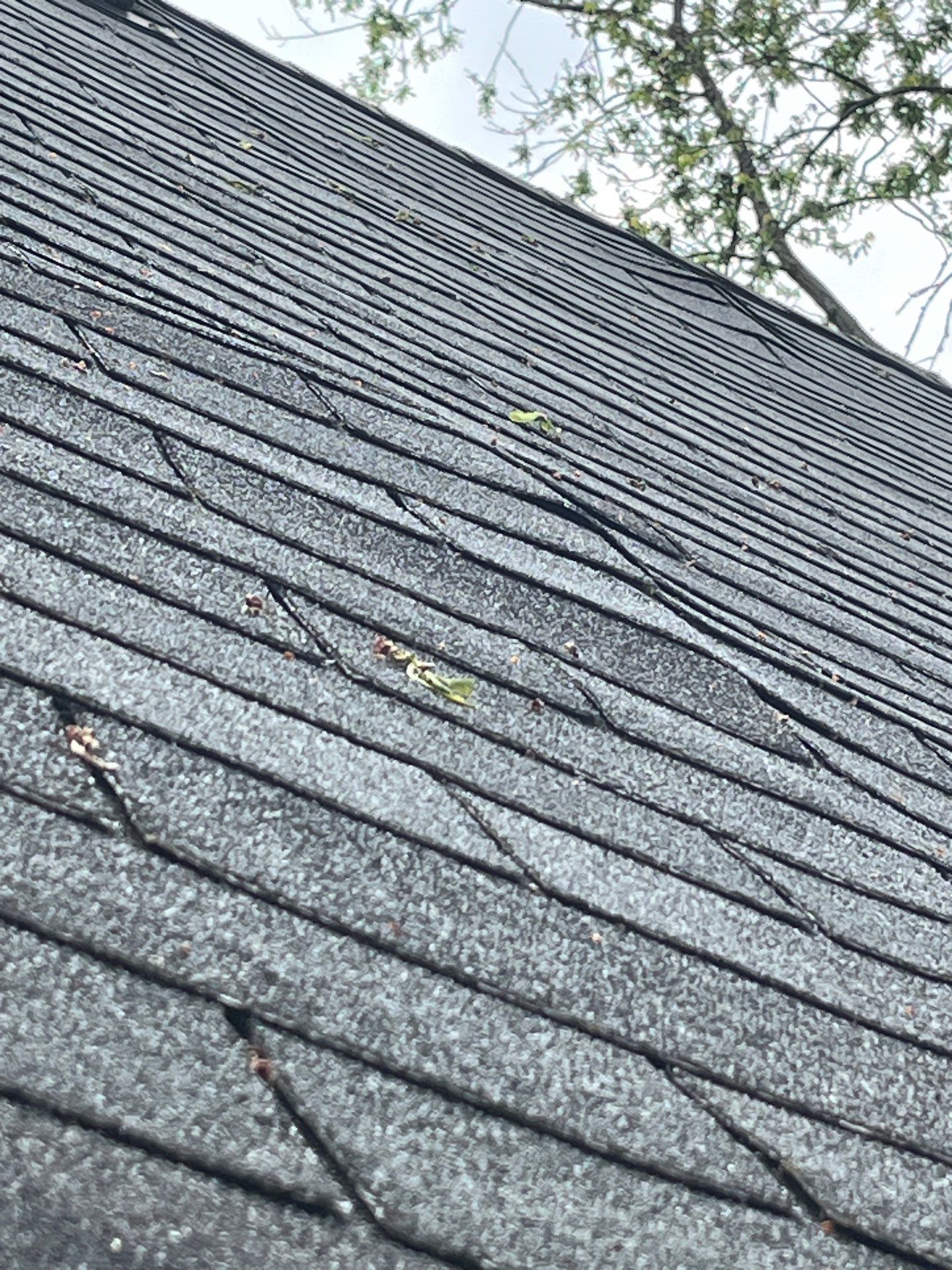 Roof Replacement using Owens Corning Estate Gray by 180 Contractors