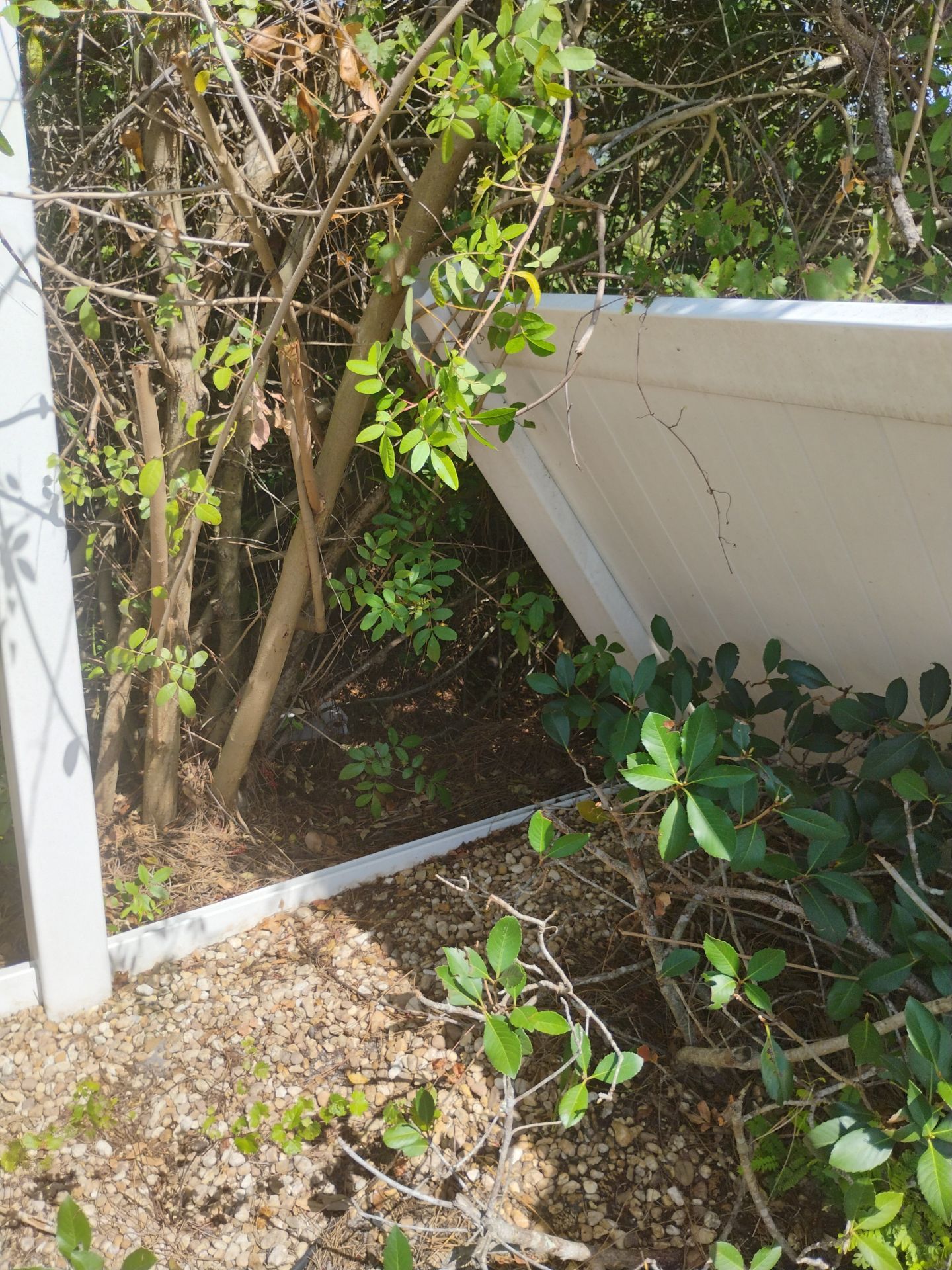 White Vinyl Privacy Fence Repair and Replacement in North Port by True Fence LLC
