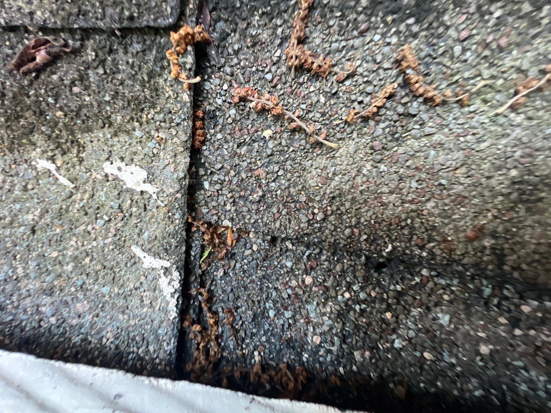 Roof Repair Sugarland by Roof Repair Services LLC