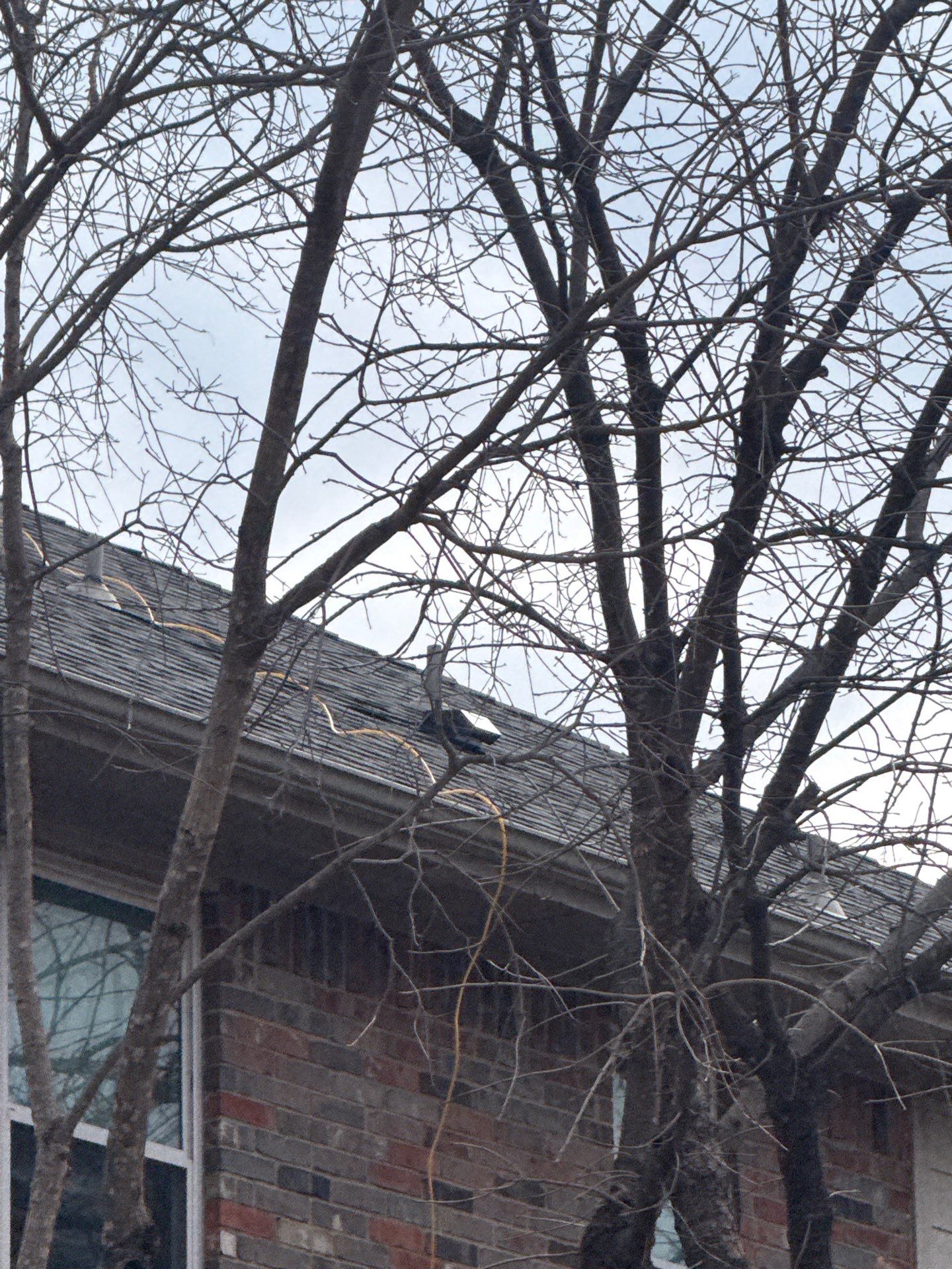 Bathroom Roof Vent Install by First Out Roofing 